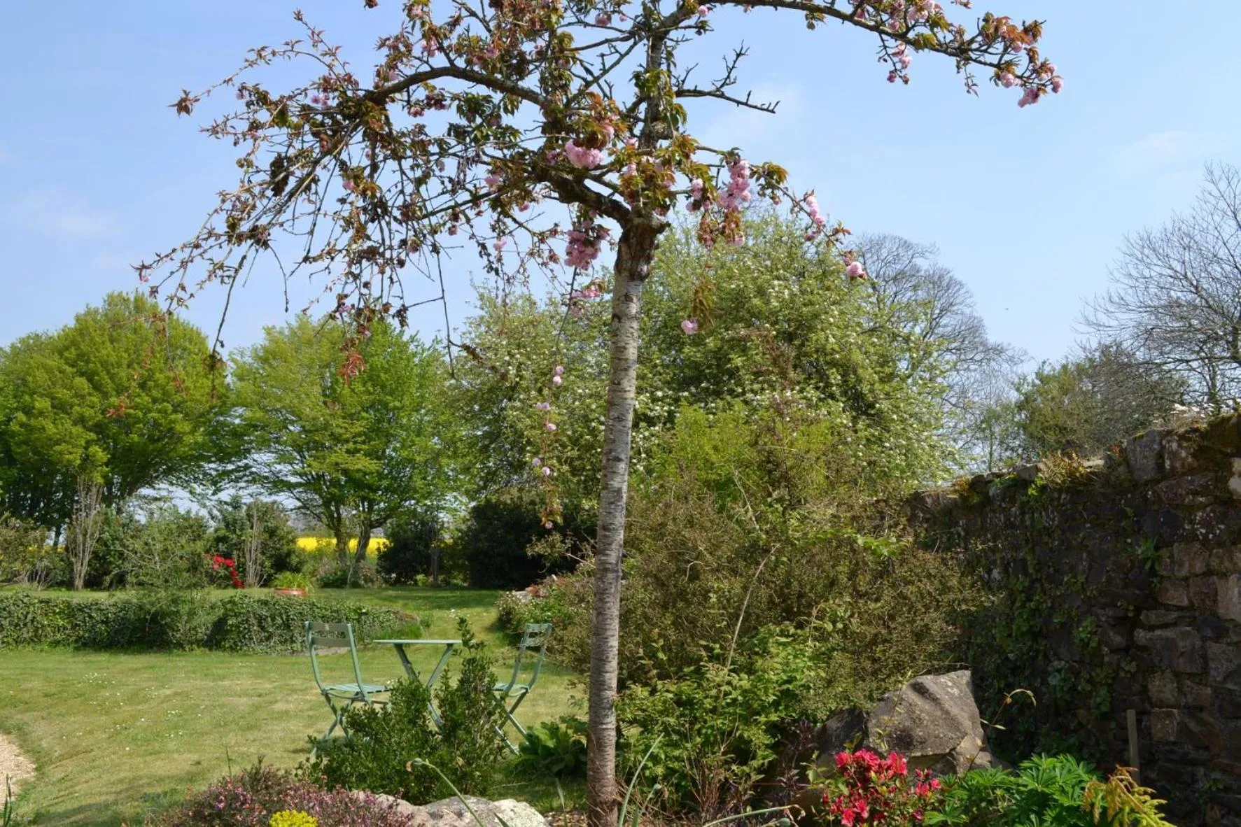 Garden in La métairie du rumain 2