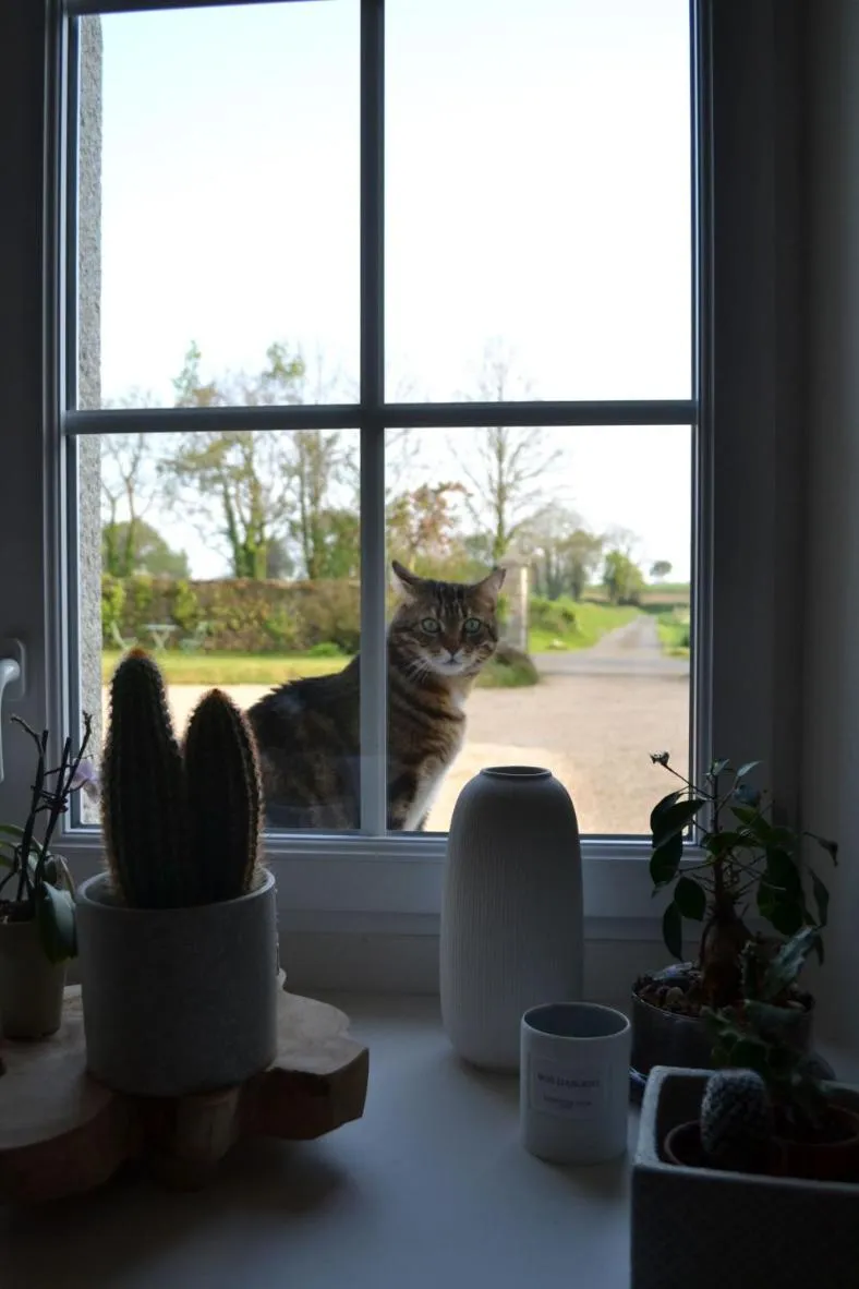 Garden view in La métairie du rumain 2