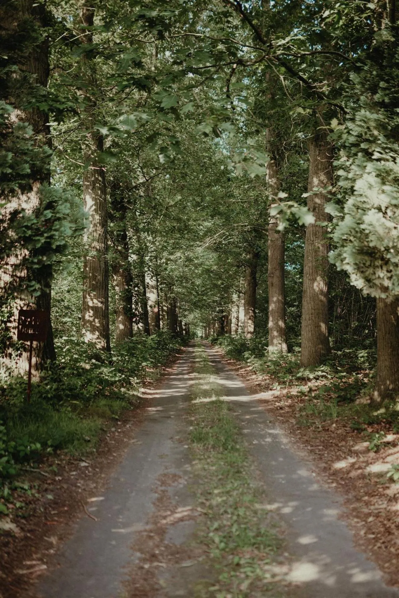 Parking in Villa Parkbos