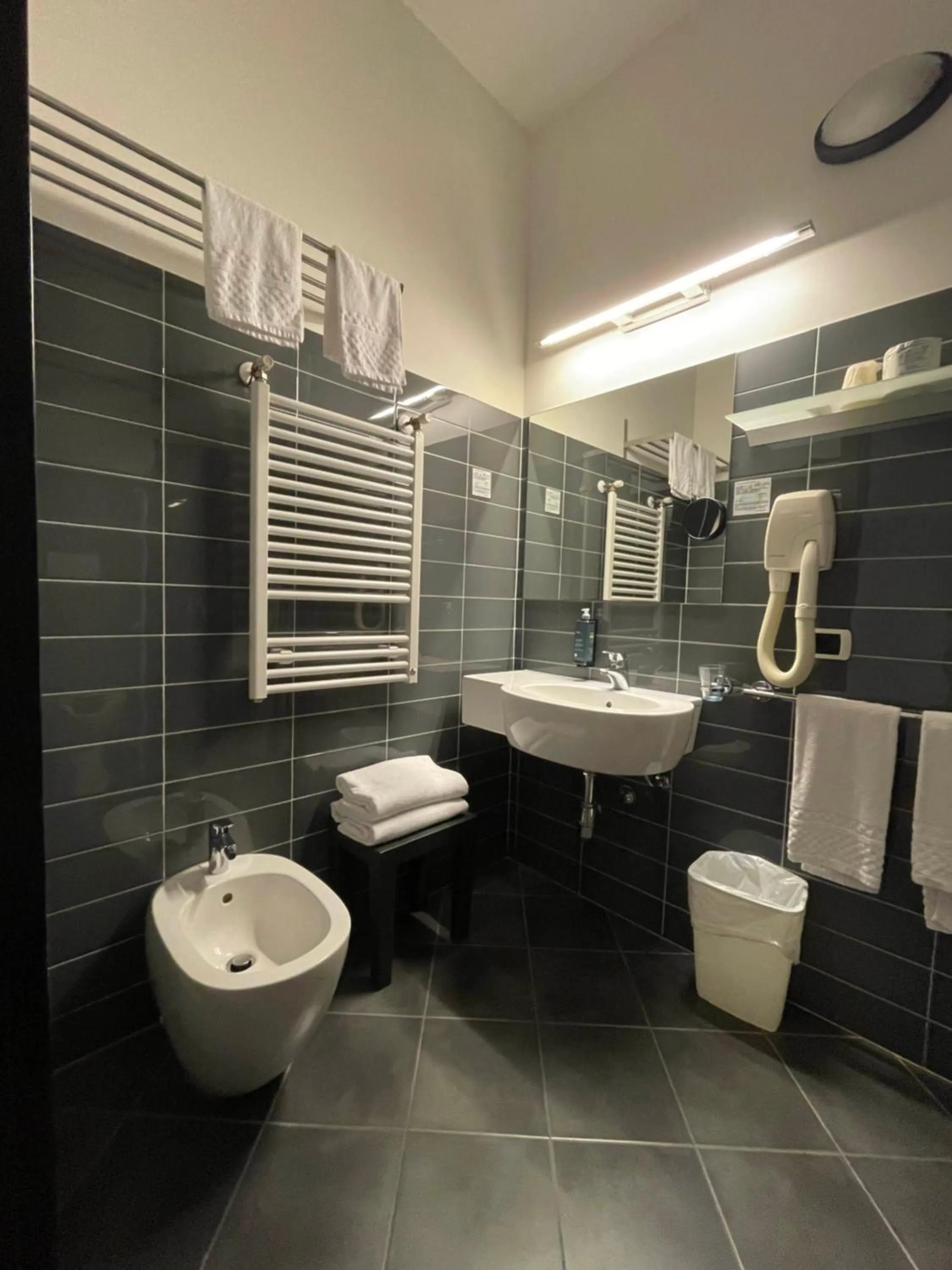 Facility for disabled guests in Hotel Cristallo