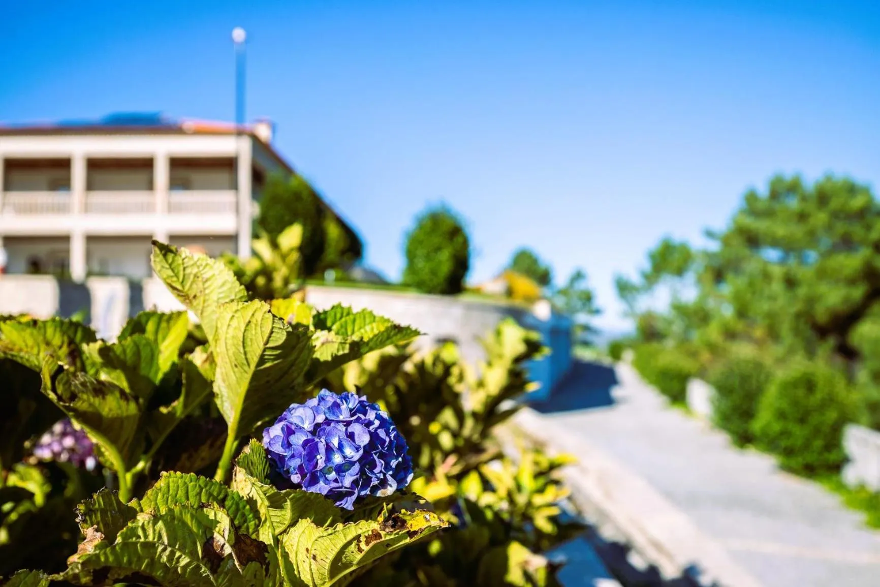 Property building in Hotel Cotto do Gatto