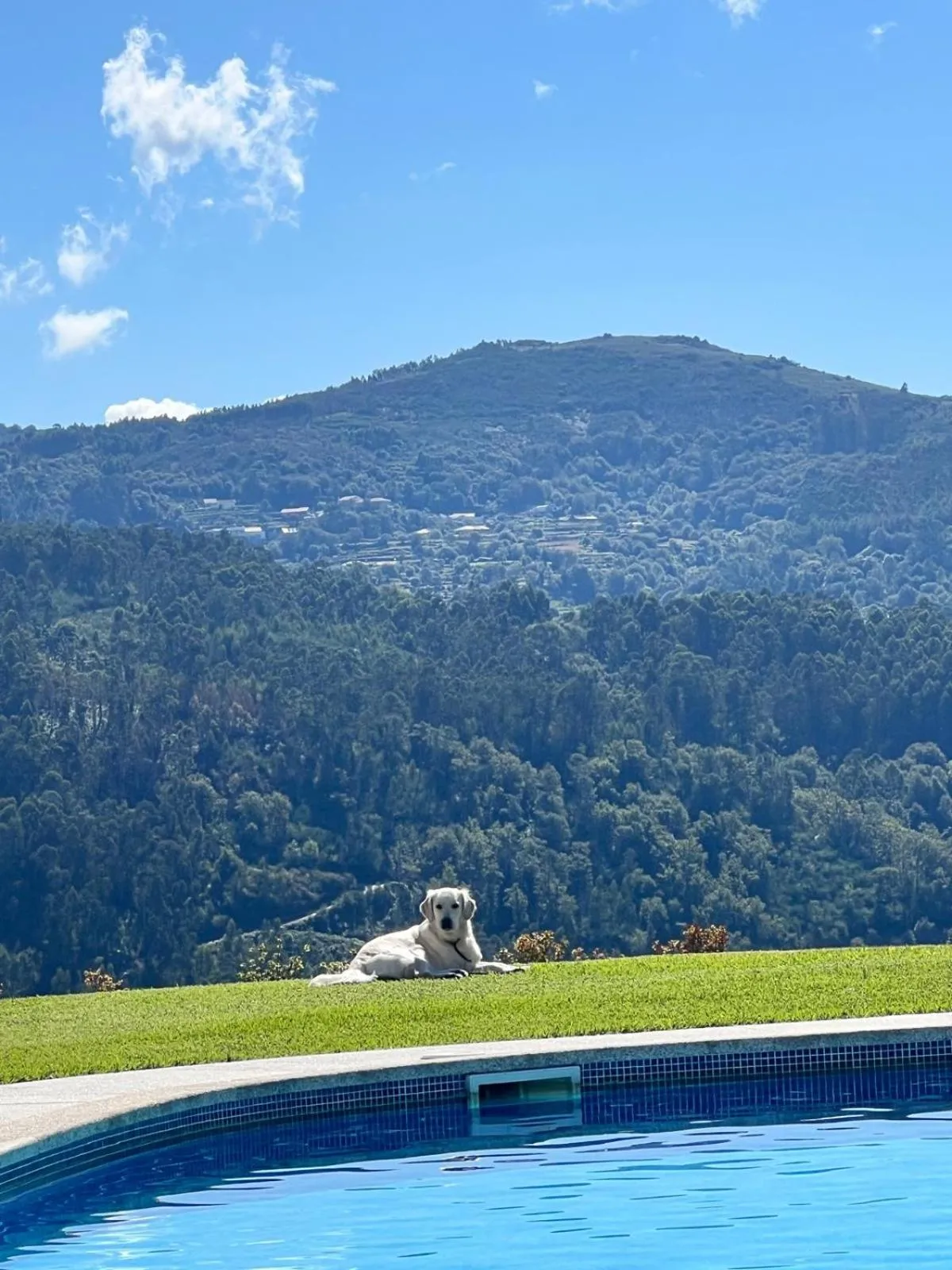 pet friendly in Hotel Cotto do Gatto