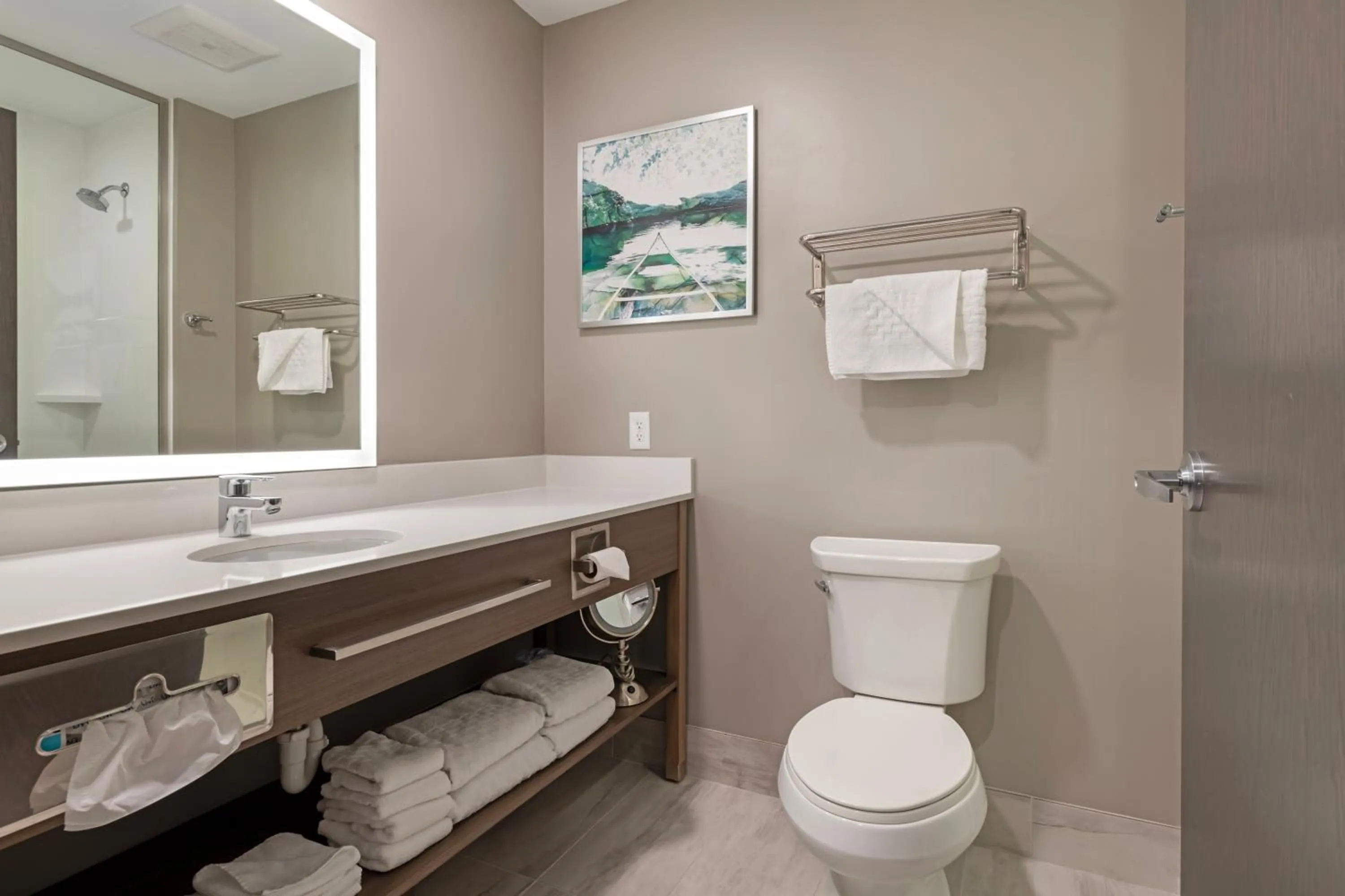 Bathroom in Best Western Plus Grand Rapids MN