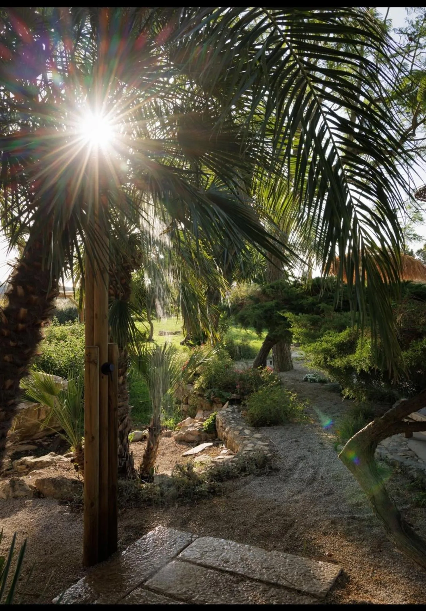 Garden in Tenuta Negroamaro