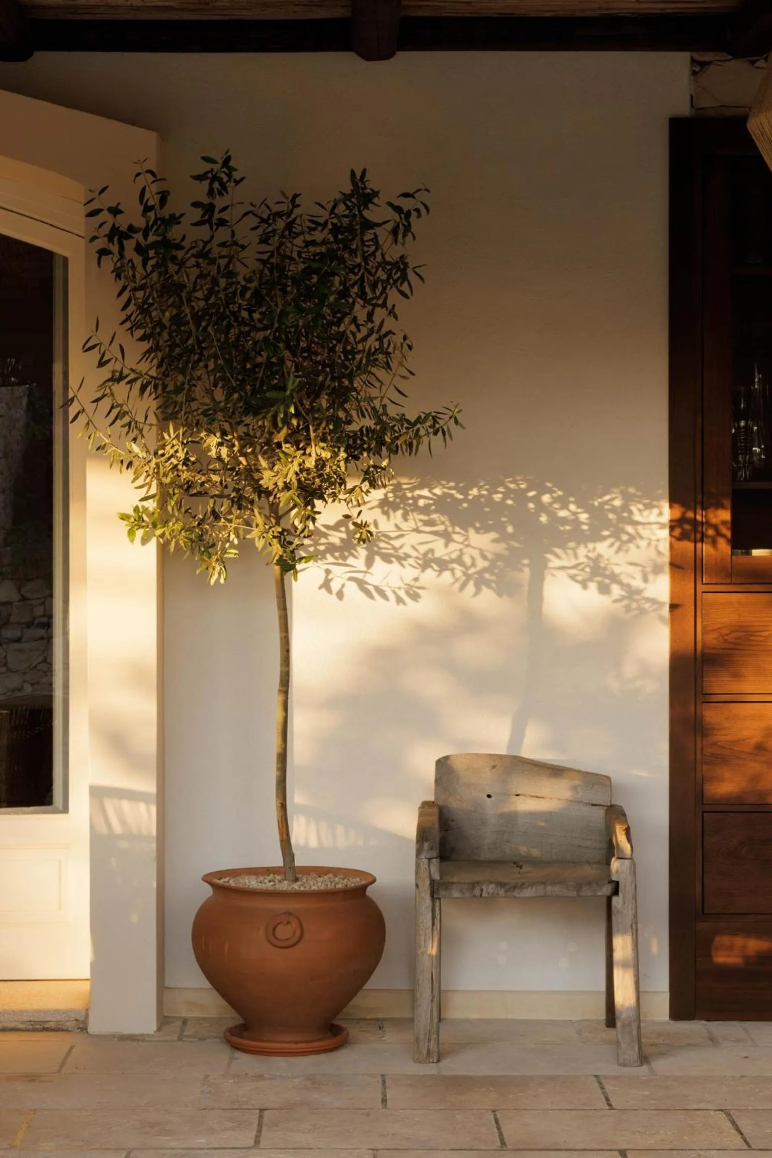 Day in Tenuta Negroamaro