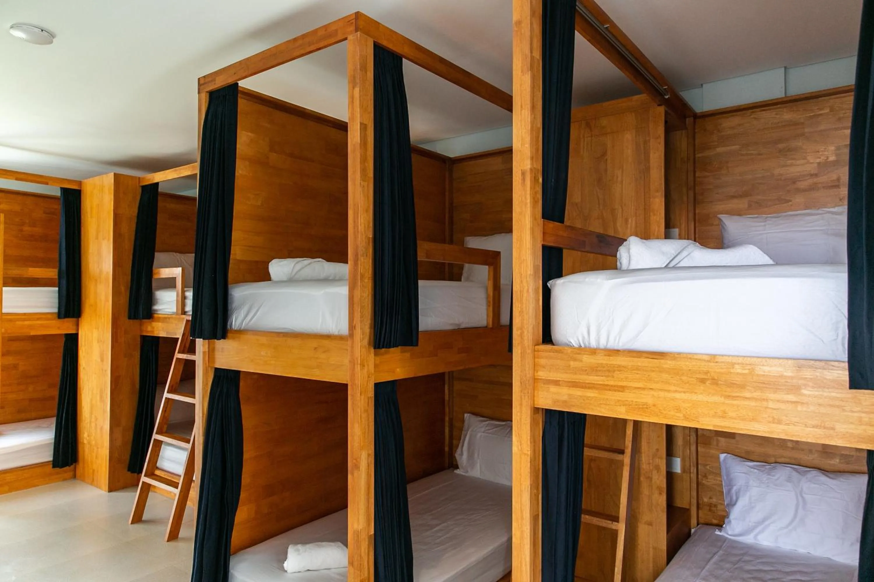 Bed in Coco & Pineapple Pants Hostel