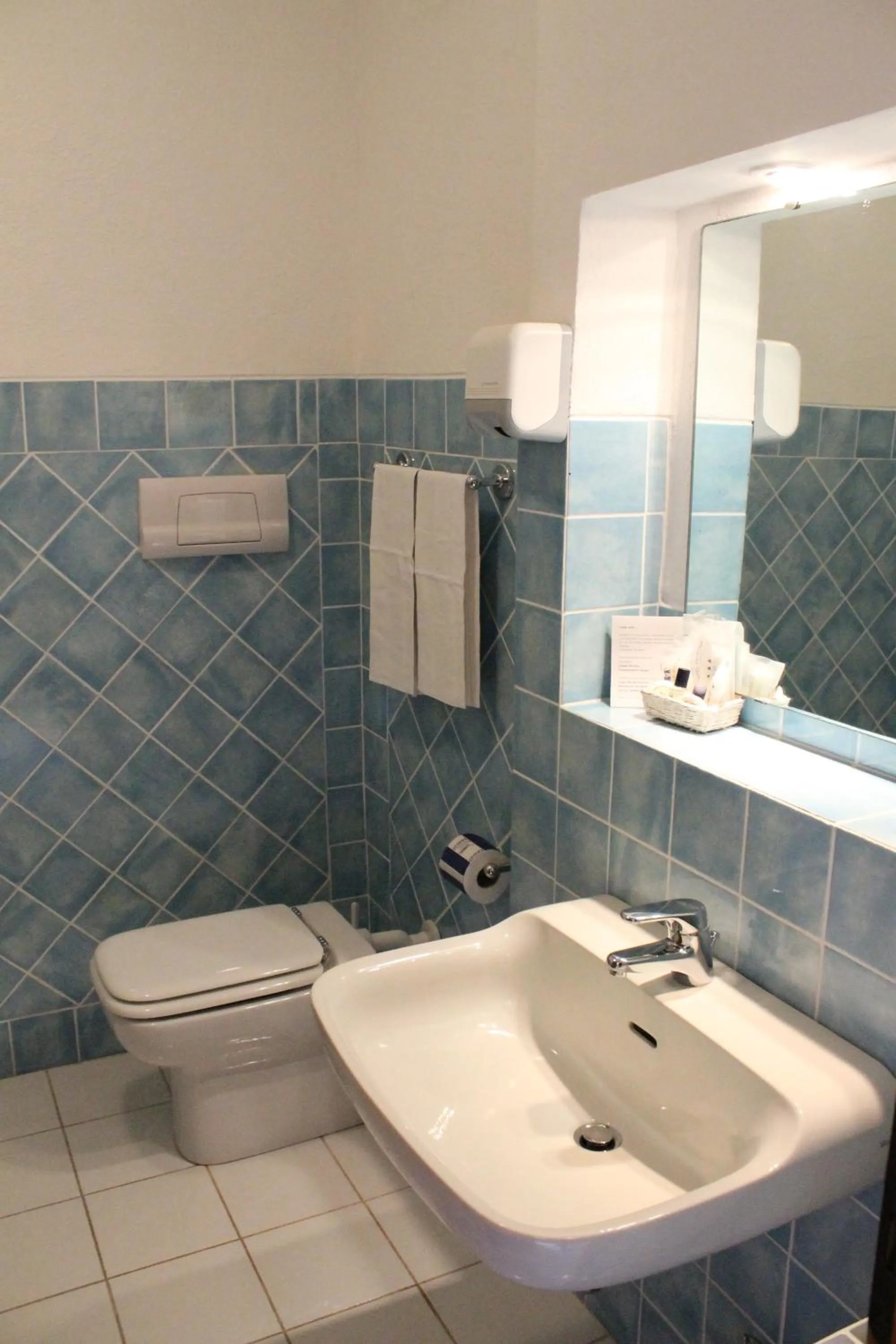 Toilet in Hotel Valdiola