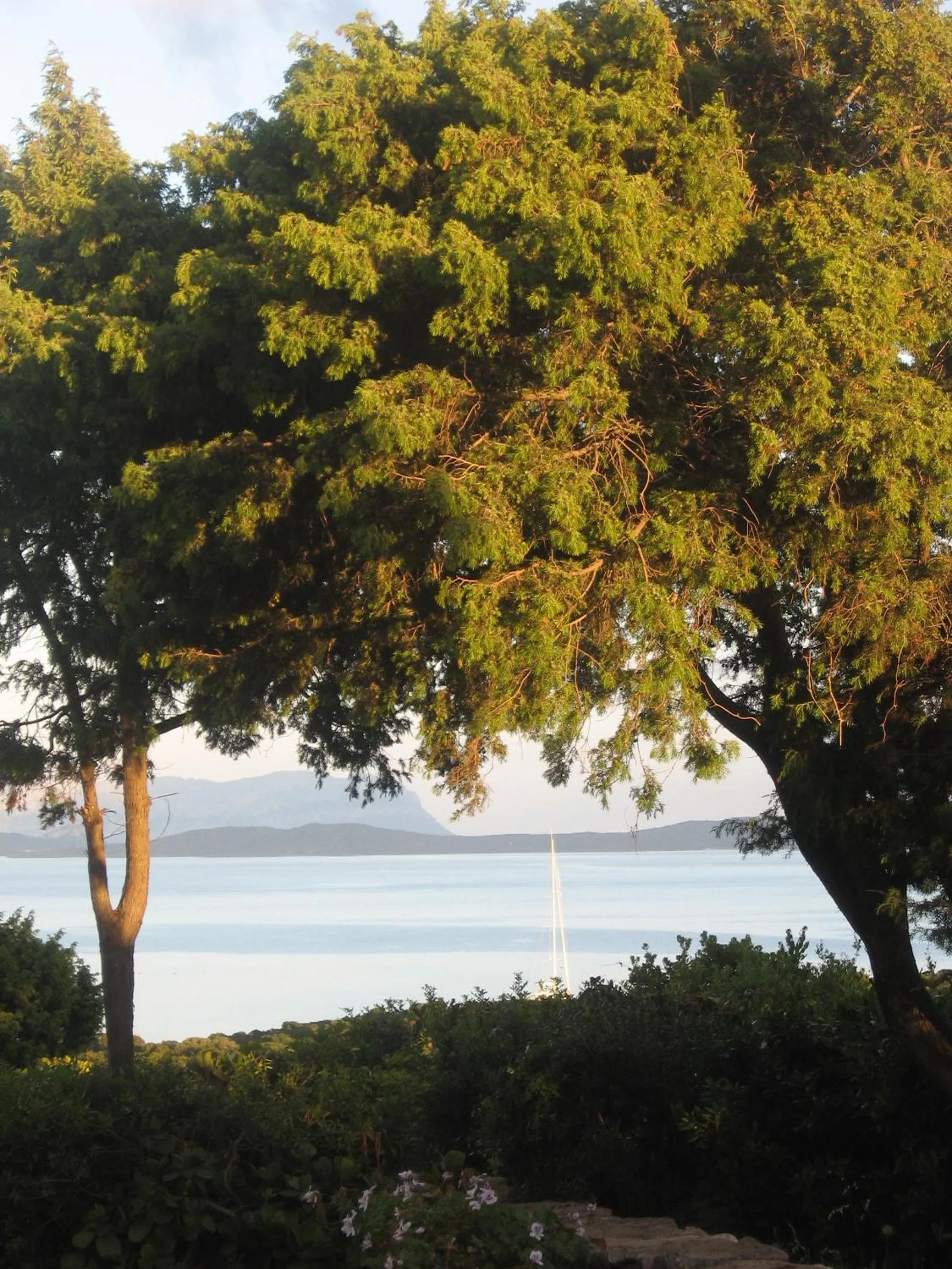 Natural landscape in Hotel Valdiola