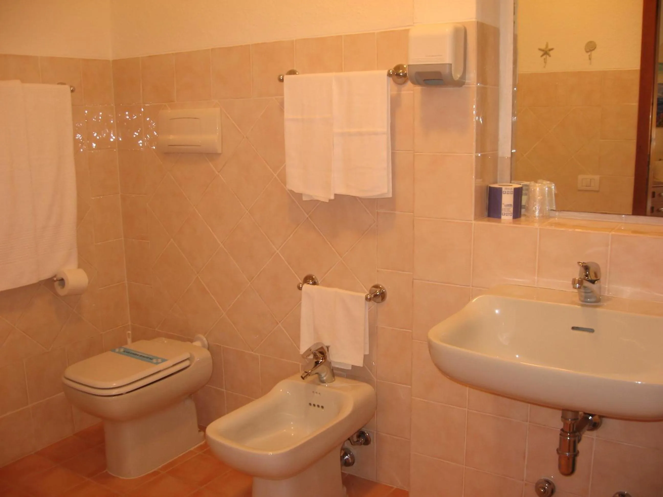 Toilet in Hotel Valdiola