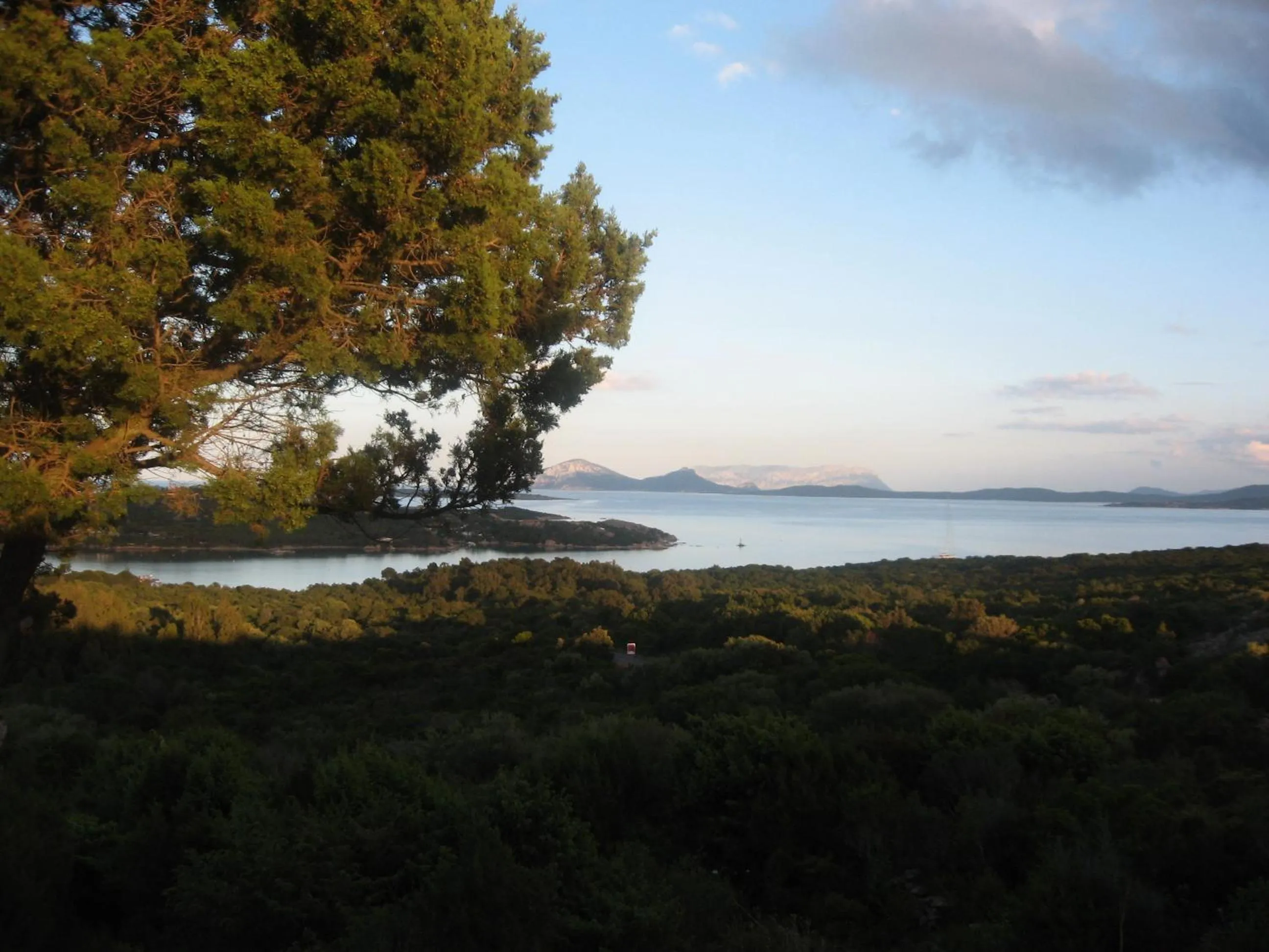 Garden in Hotel Valdiola