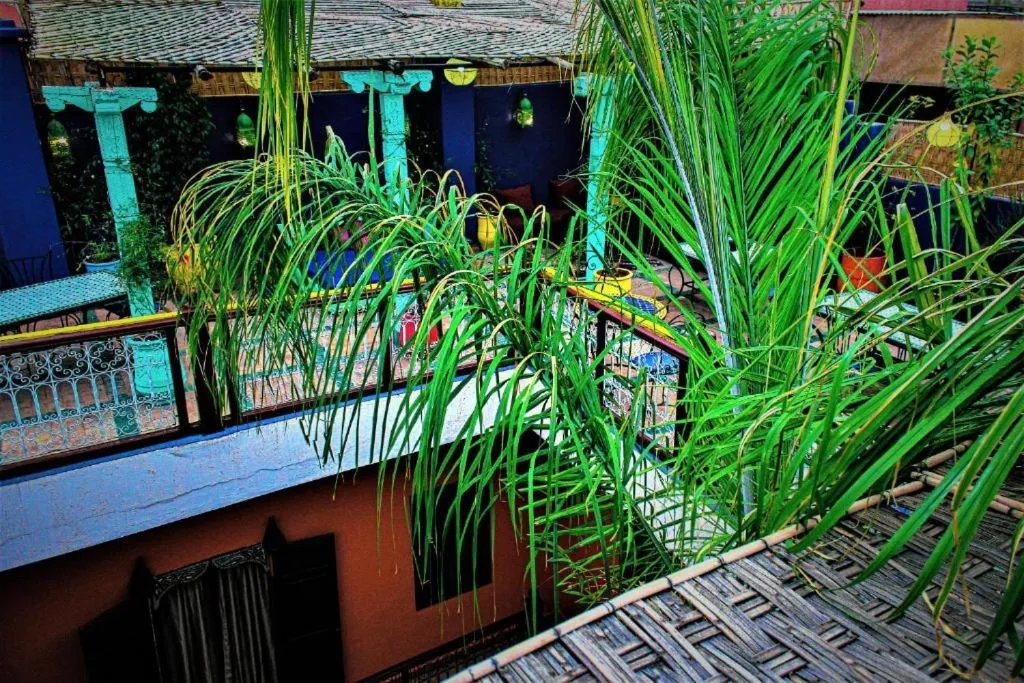 Patio in Riad Rêve d Antan , Real Dream