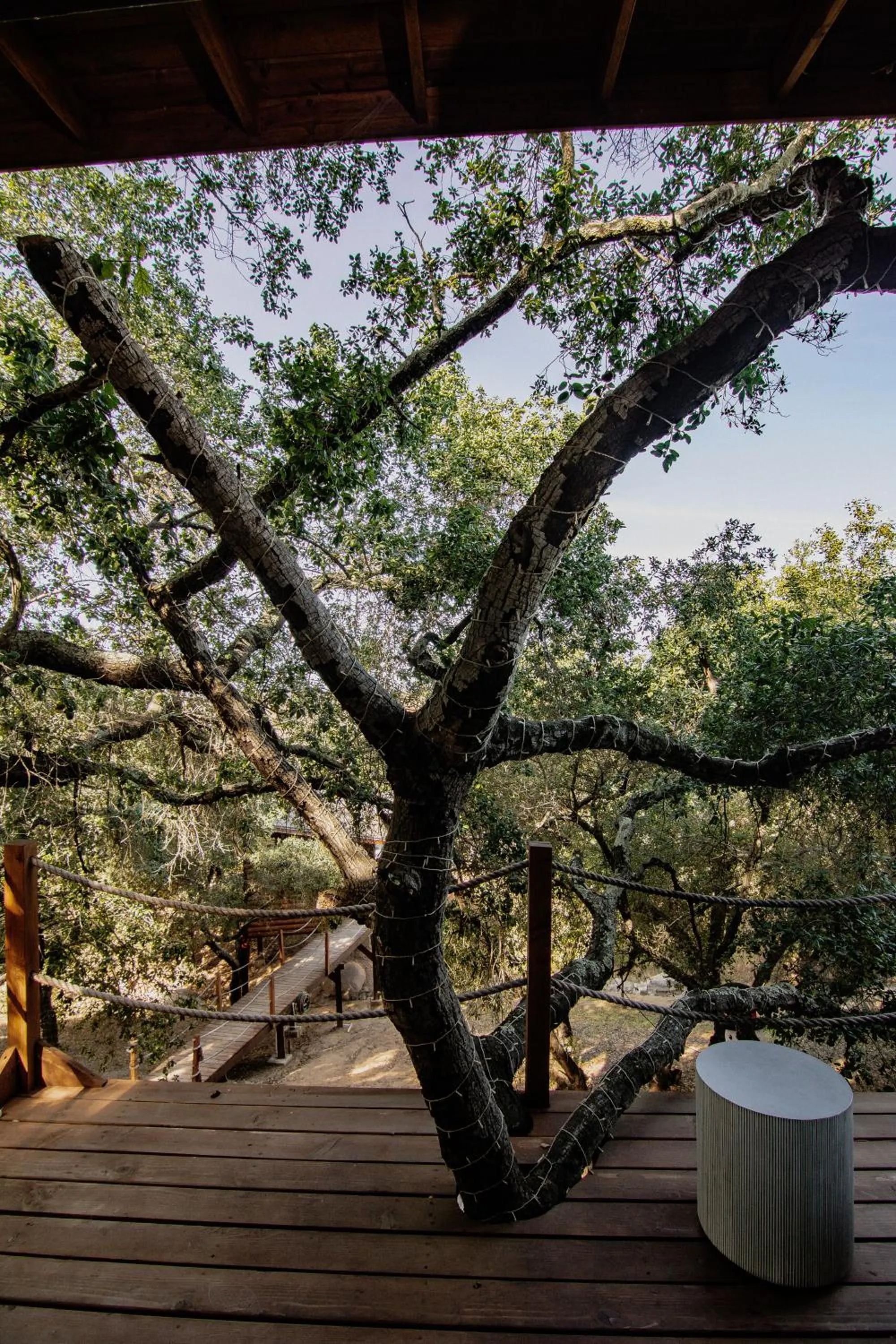 Decorative detail in Boskenvid Hotel - Romantic Treehouses & Skypool
