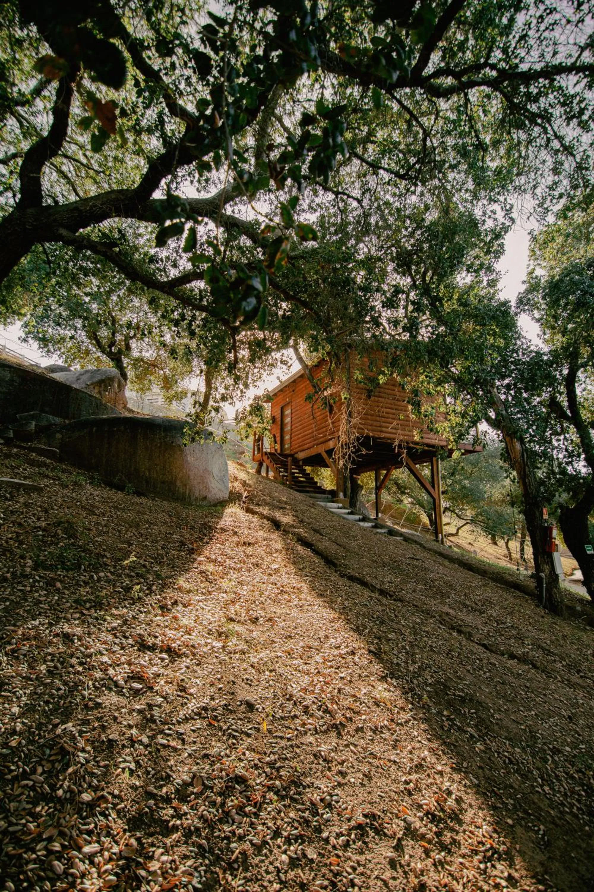 Off site in Boskenvid Hotel - Romantic Treehouses & Skypool