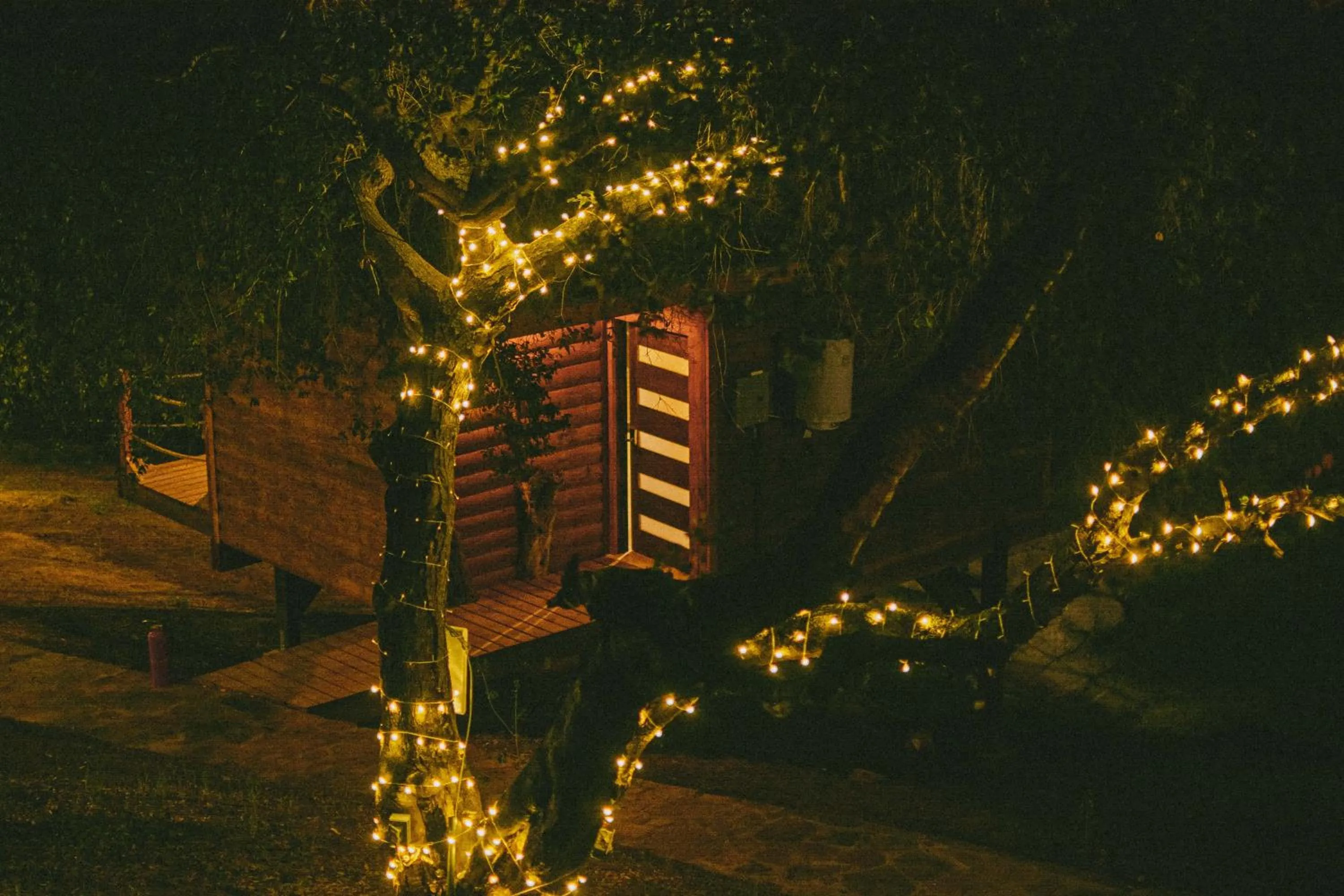 Night in Boskenvid Hotel - Romantic Treehouses & Skypool