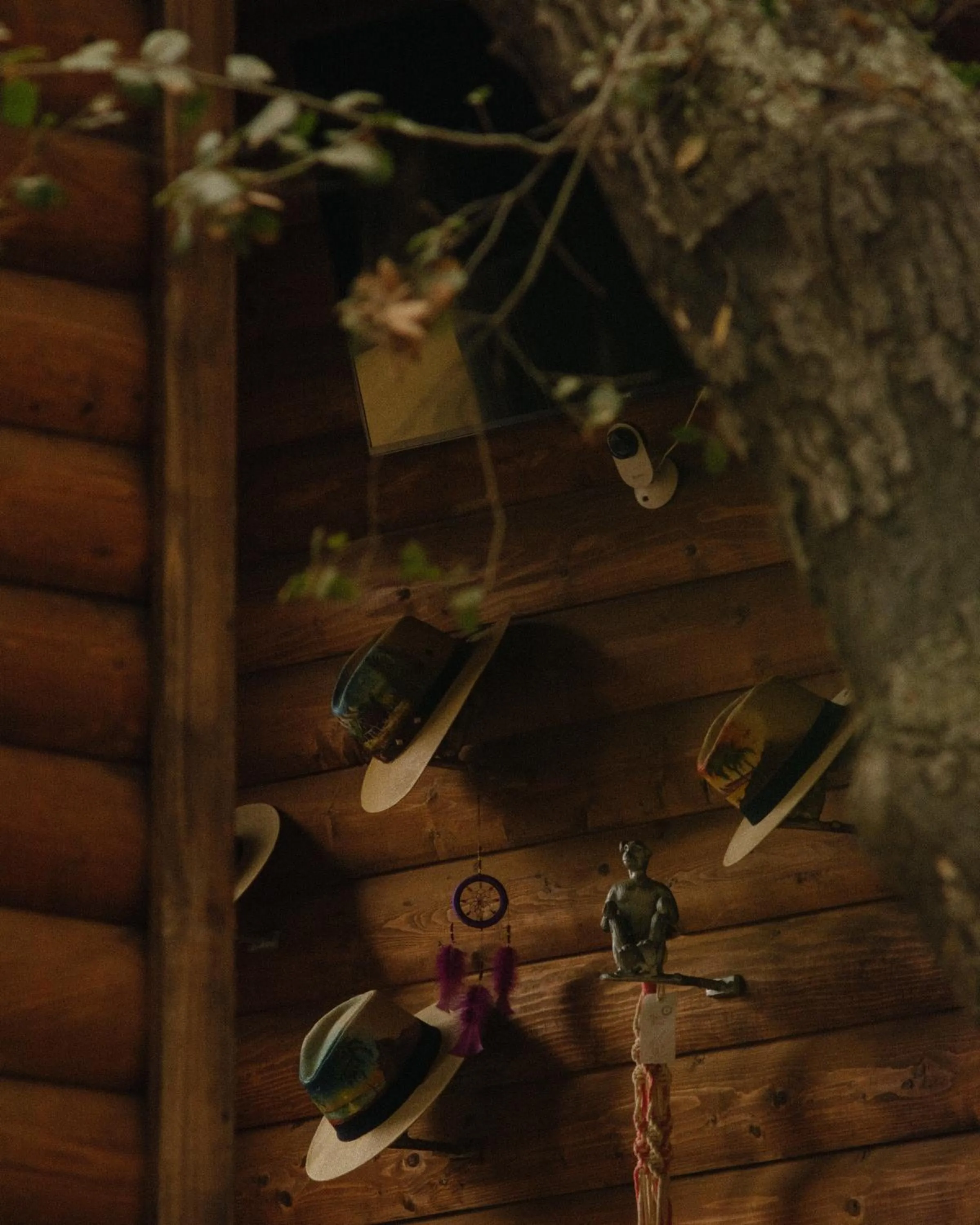 Lobby or reception in Boskenvid Hotel - Romantic Treehouses & Skypool