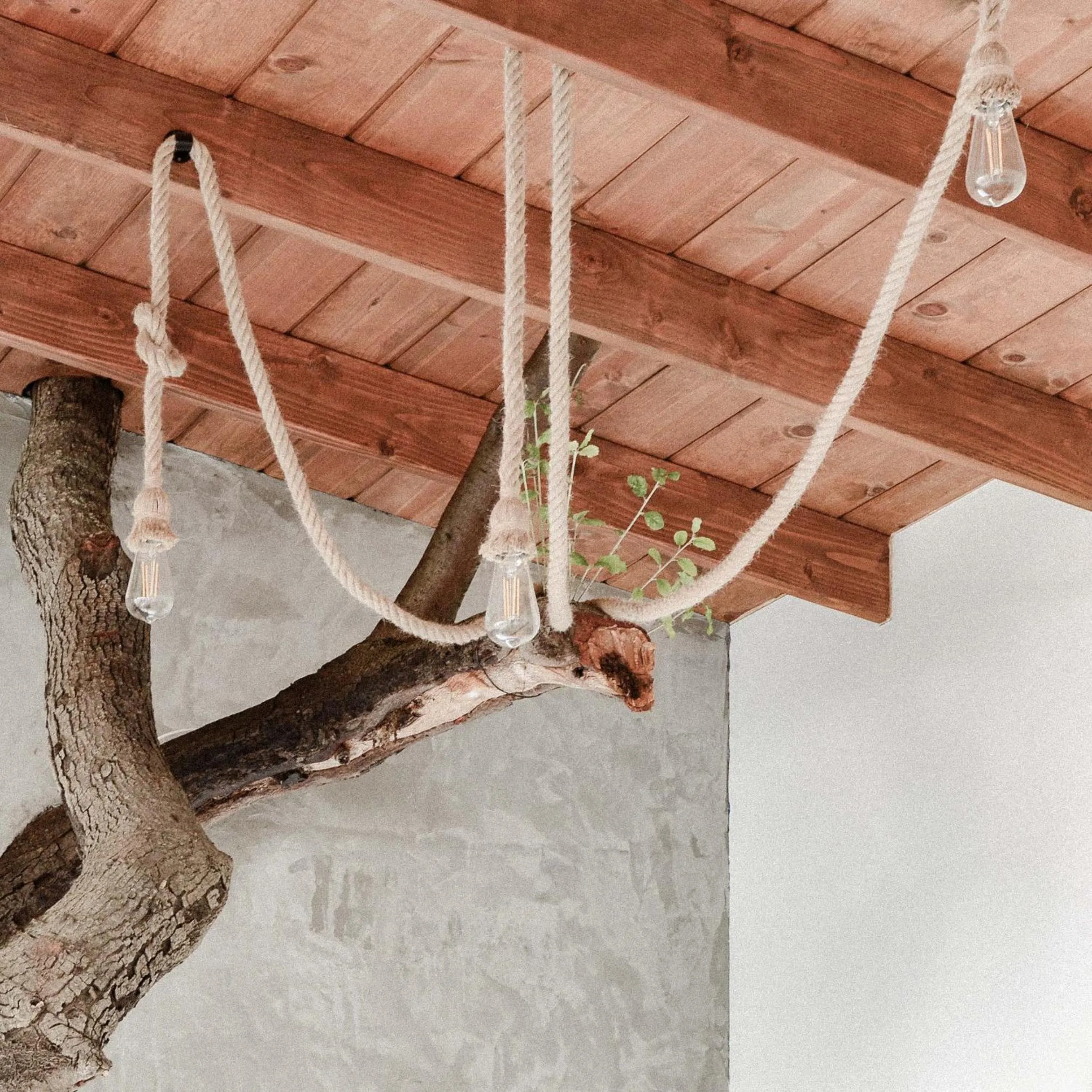 Natural landscape in Boskenvid Hotel - Romantic Treehouses & Skypool