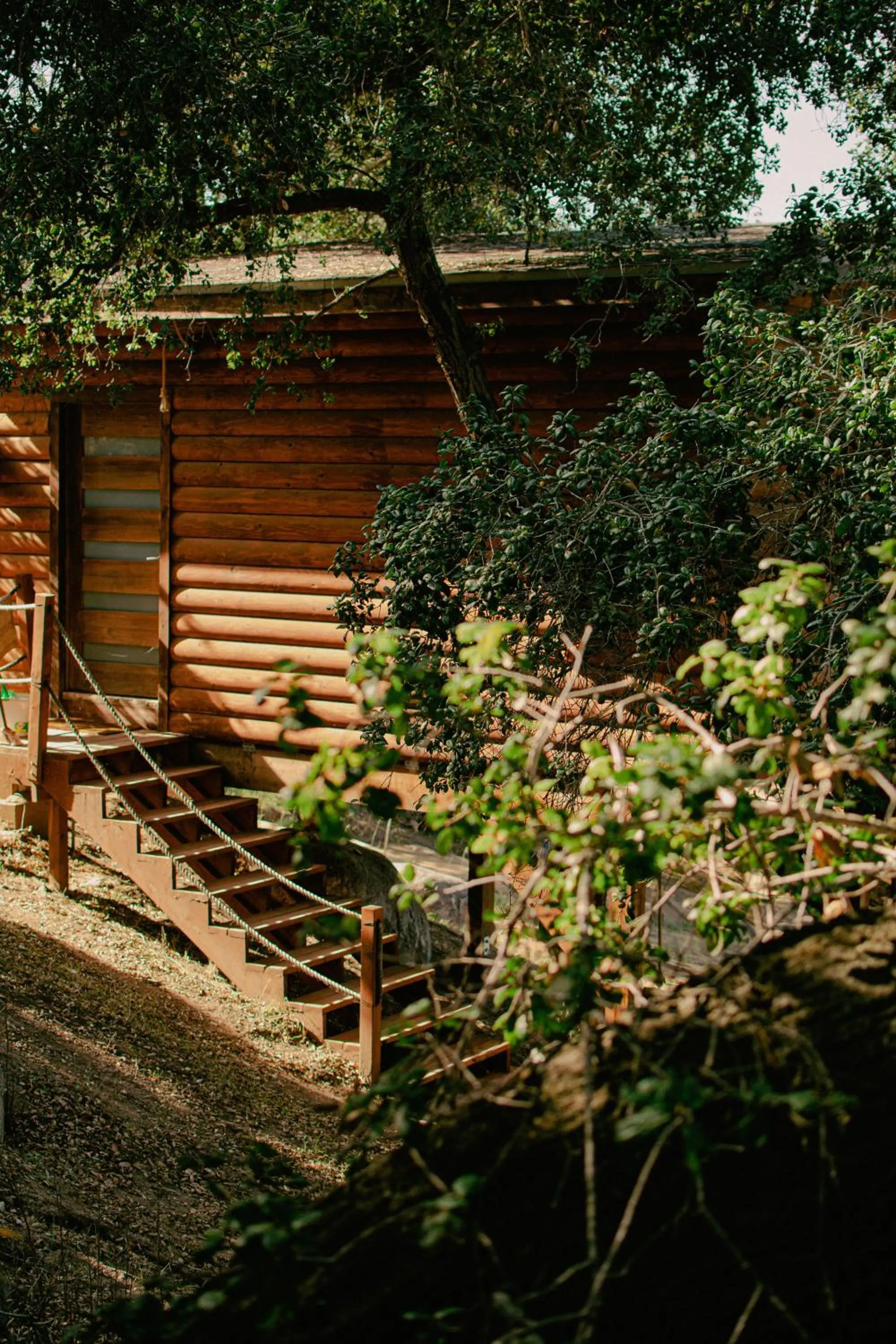 Off site in Boskenvid Hotel - Romantic Treehouses & Skypool