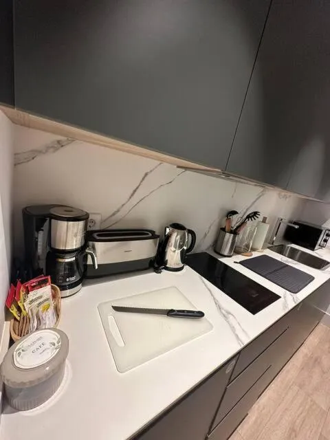 kitchen in Apartamentos Turísticos La Plaza