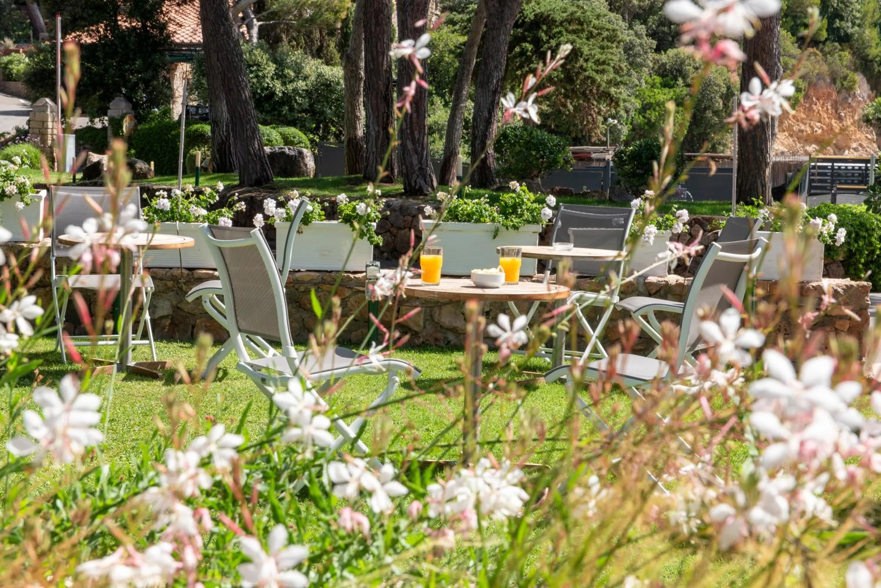 Garden in Boutique Hotel Torre Di Cala Piccola