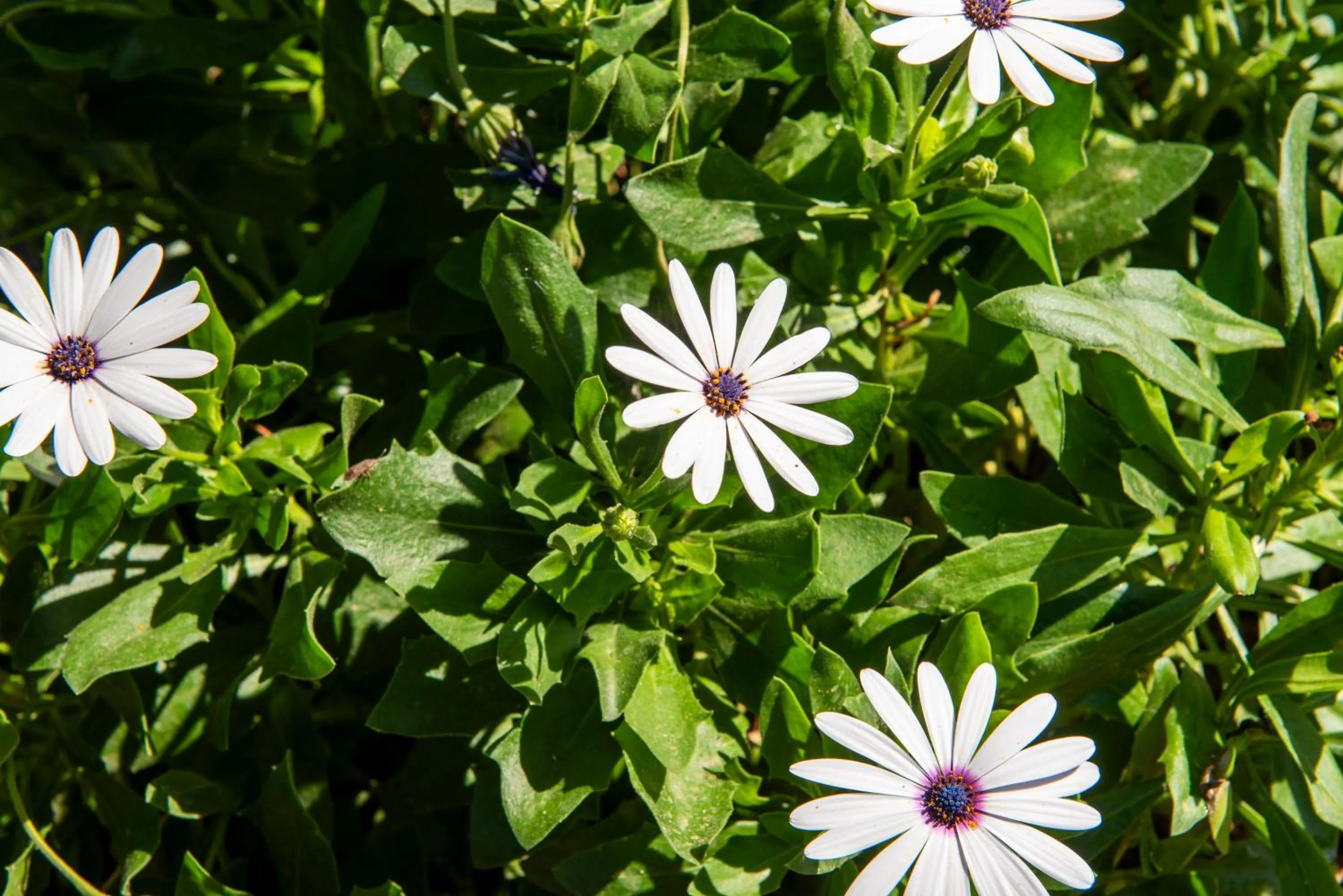Spring in Boutique Hotel Torre Di Cala Piccola