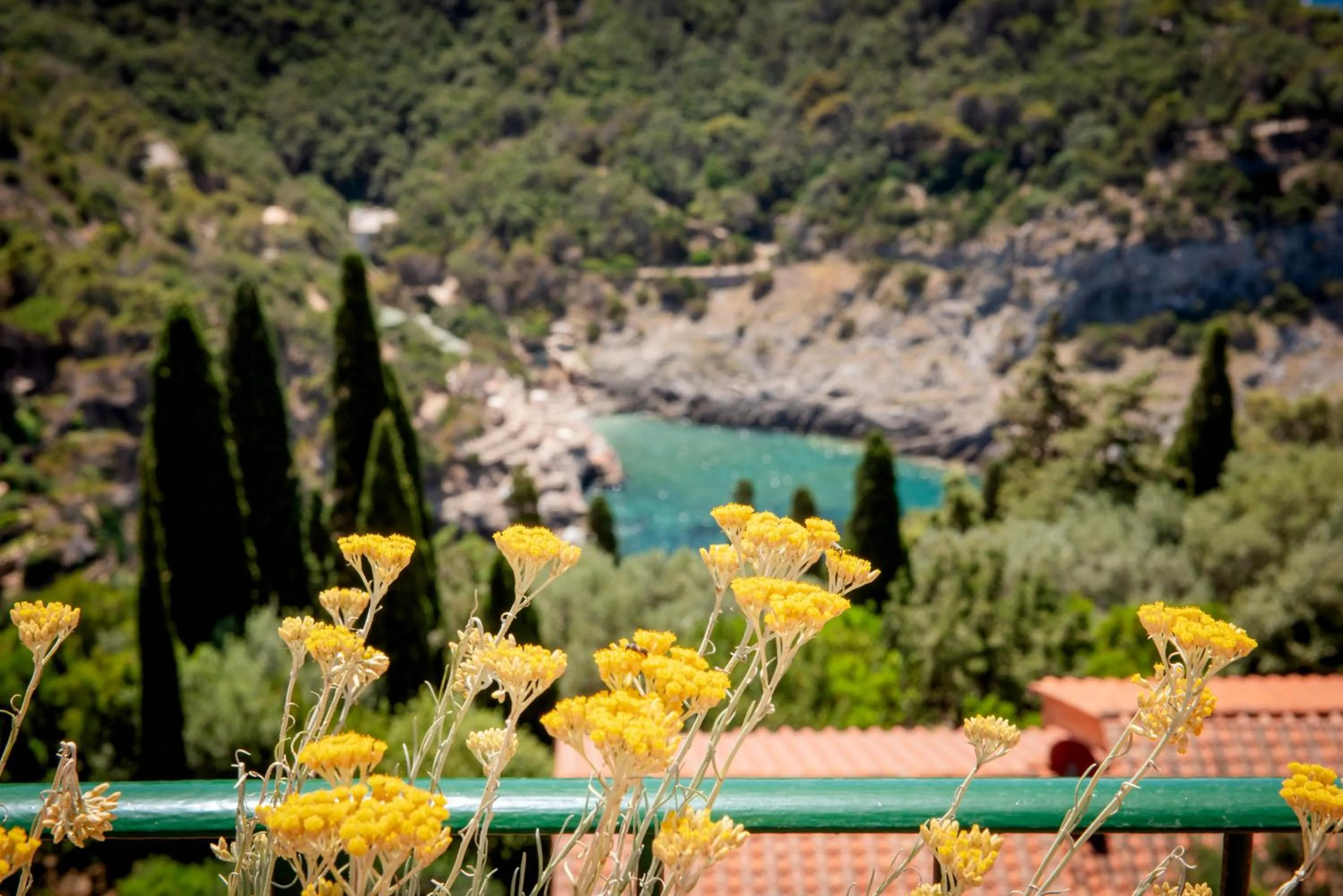 Natural landscape in Boutique Hotel Torre Di Cala Piccola