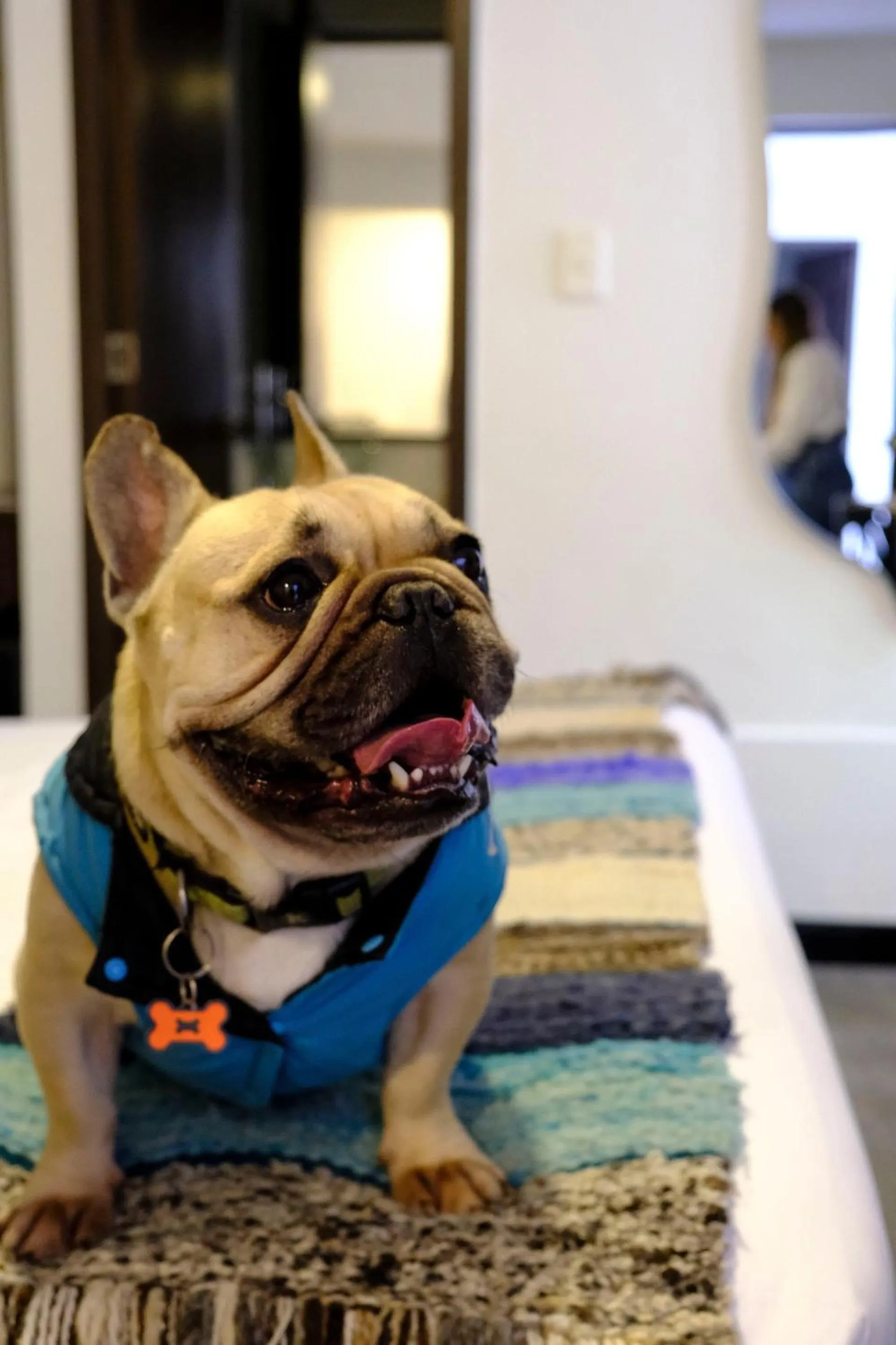 Other in Hotel DC Feria