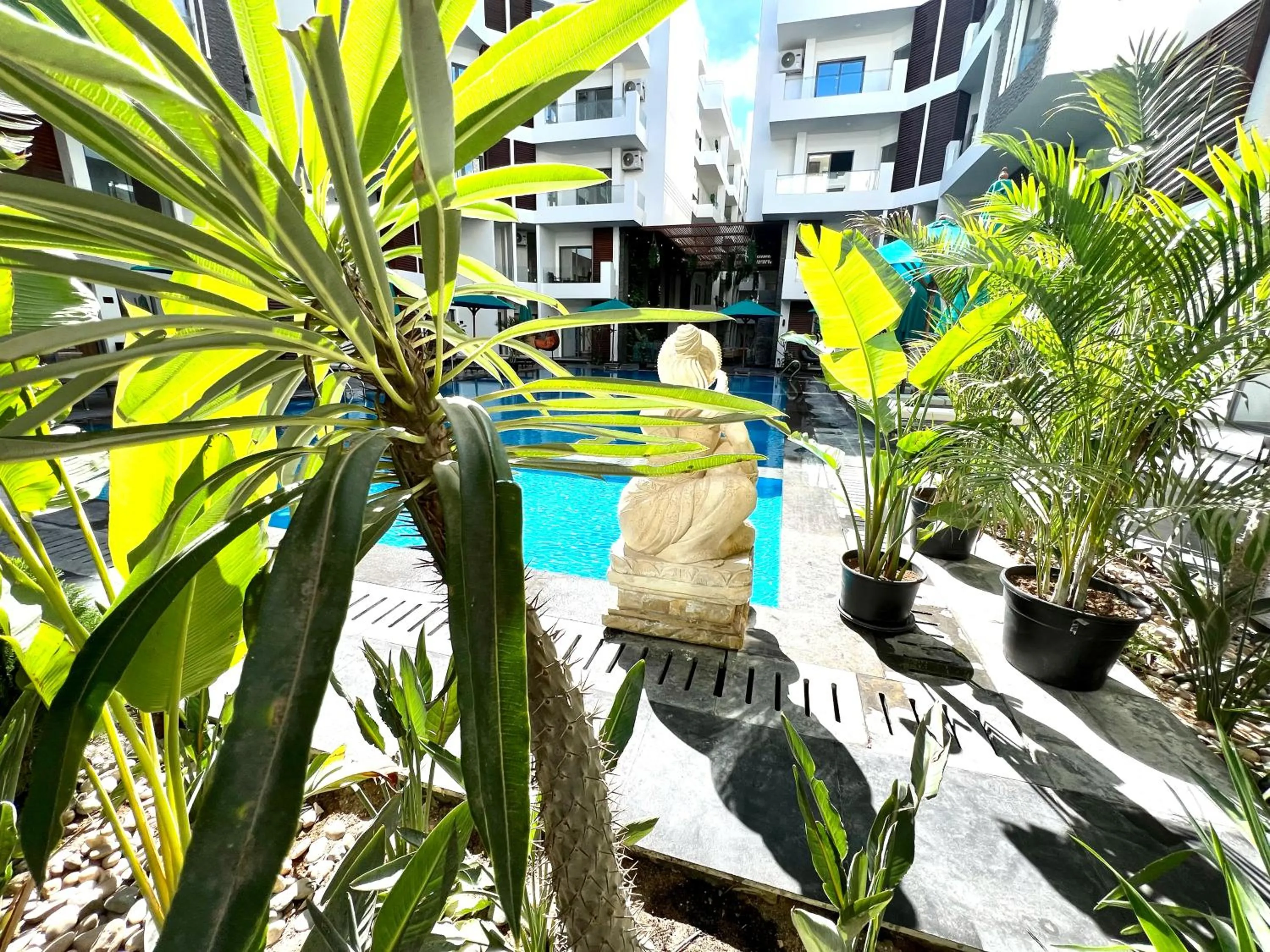 Natural landscape in Imperial Resort Hurghada