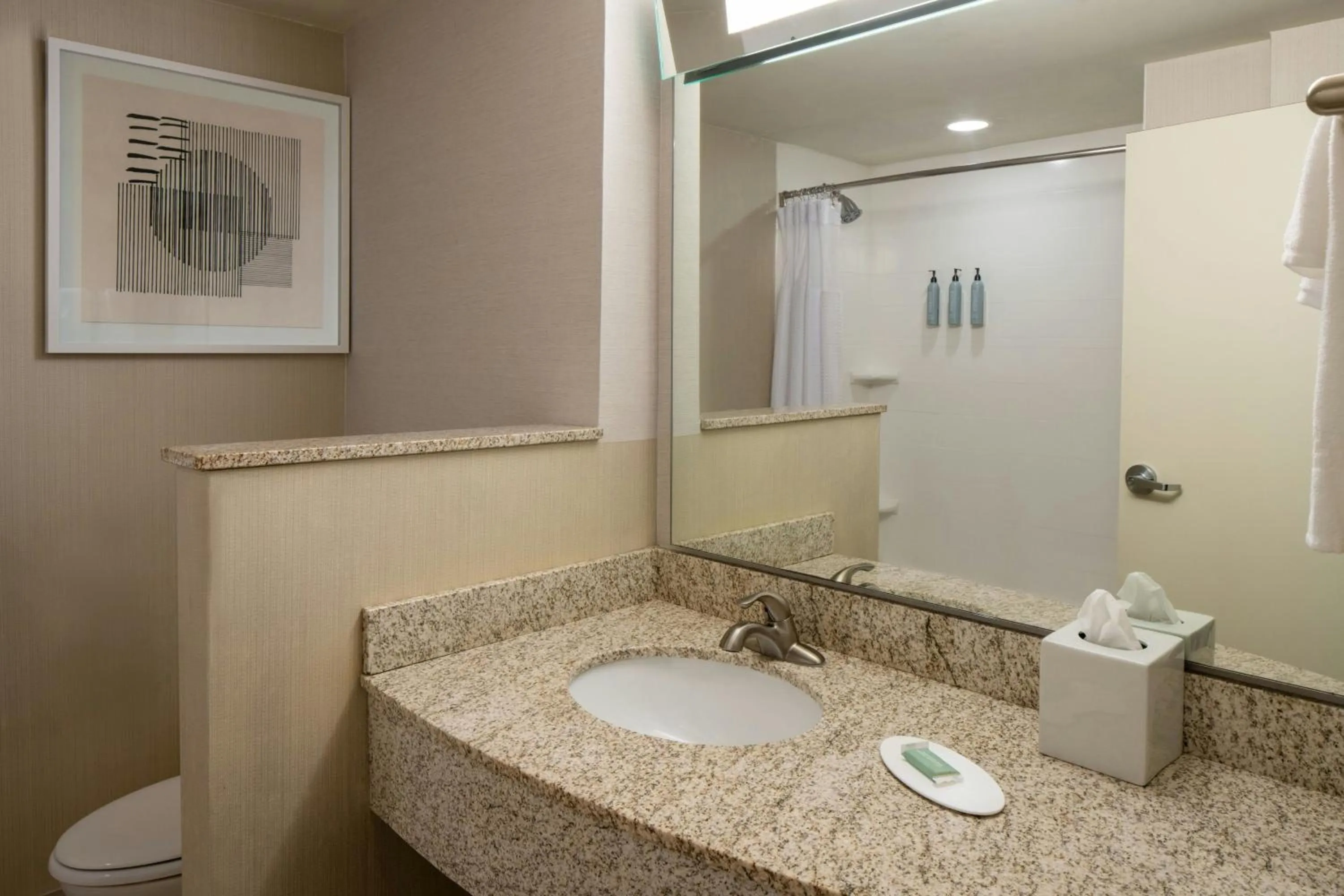 Bathroom in Courtyard by Marriott Jackson Airport/Pearl