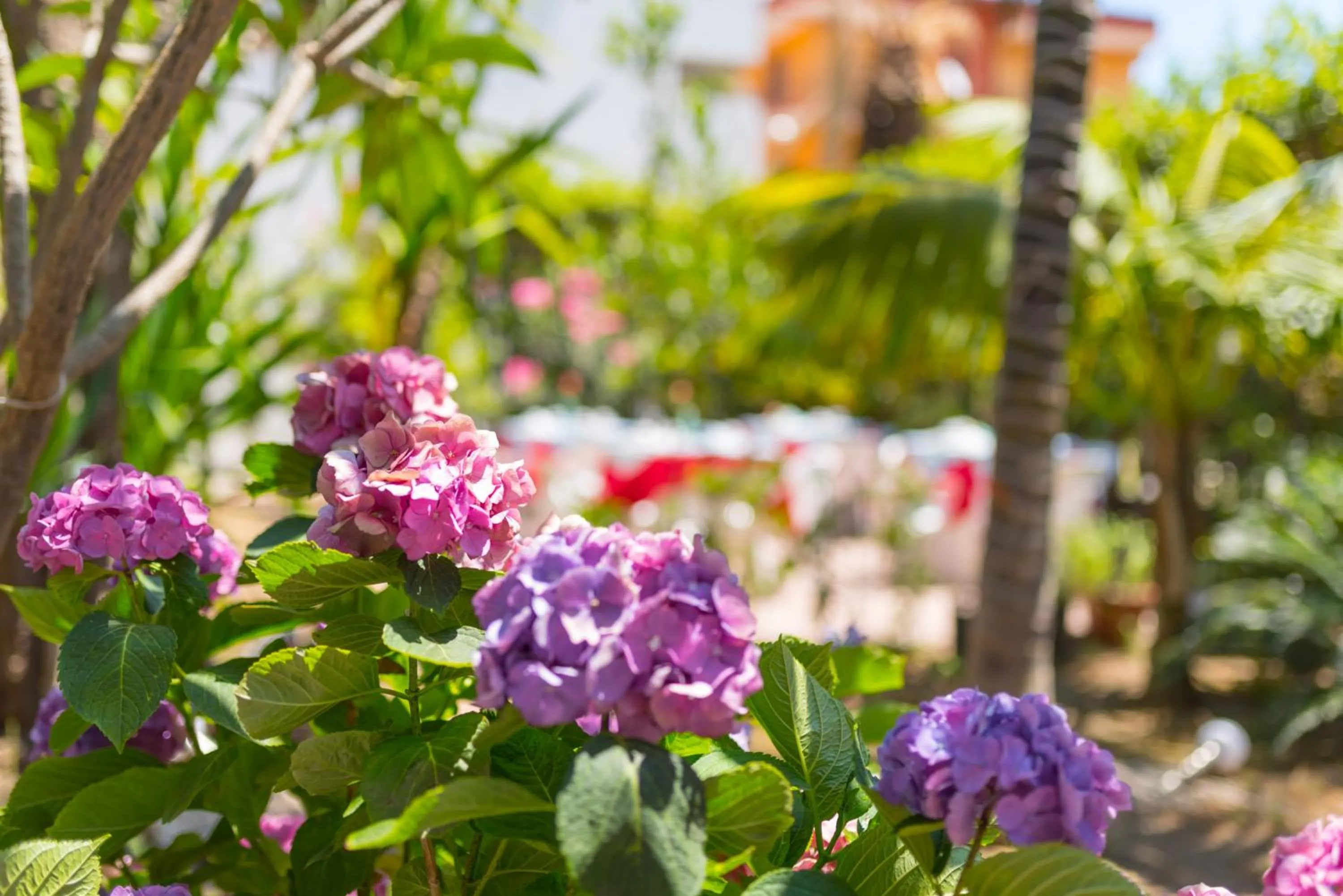 Neighbourhood in La Piramide