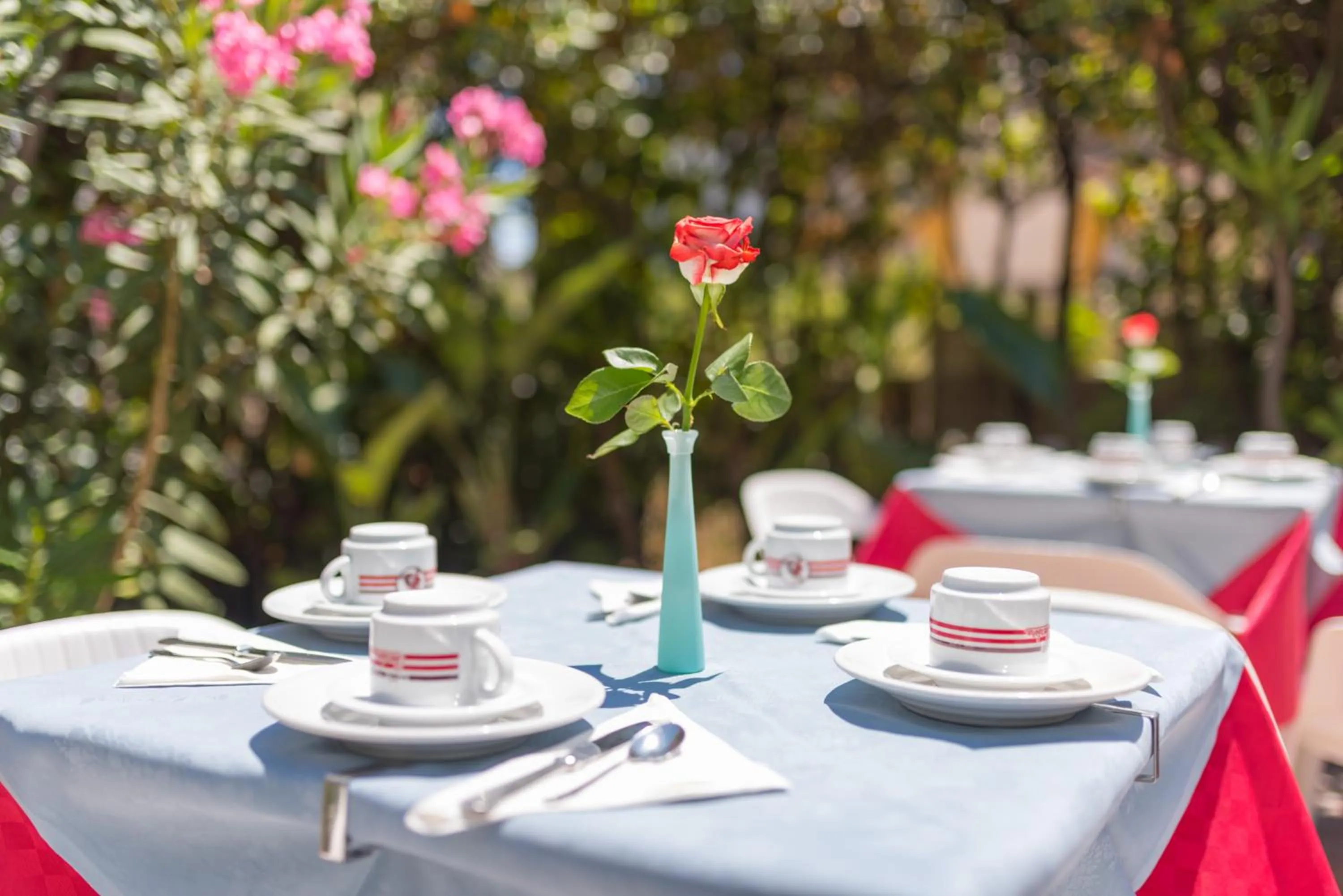 Garden in La Piramide