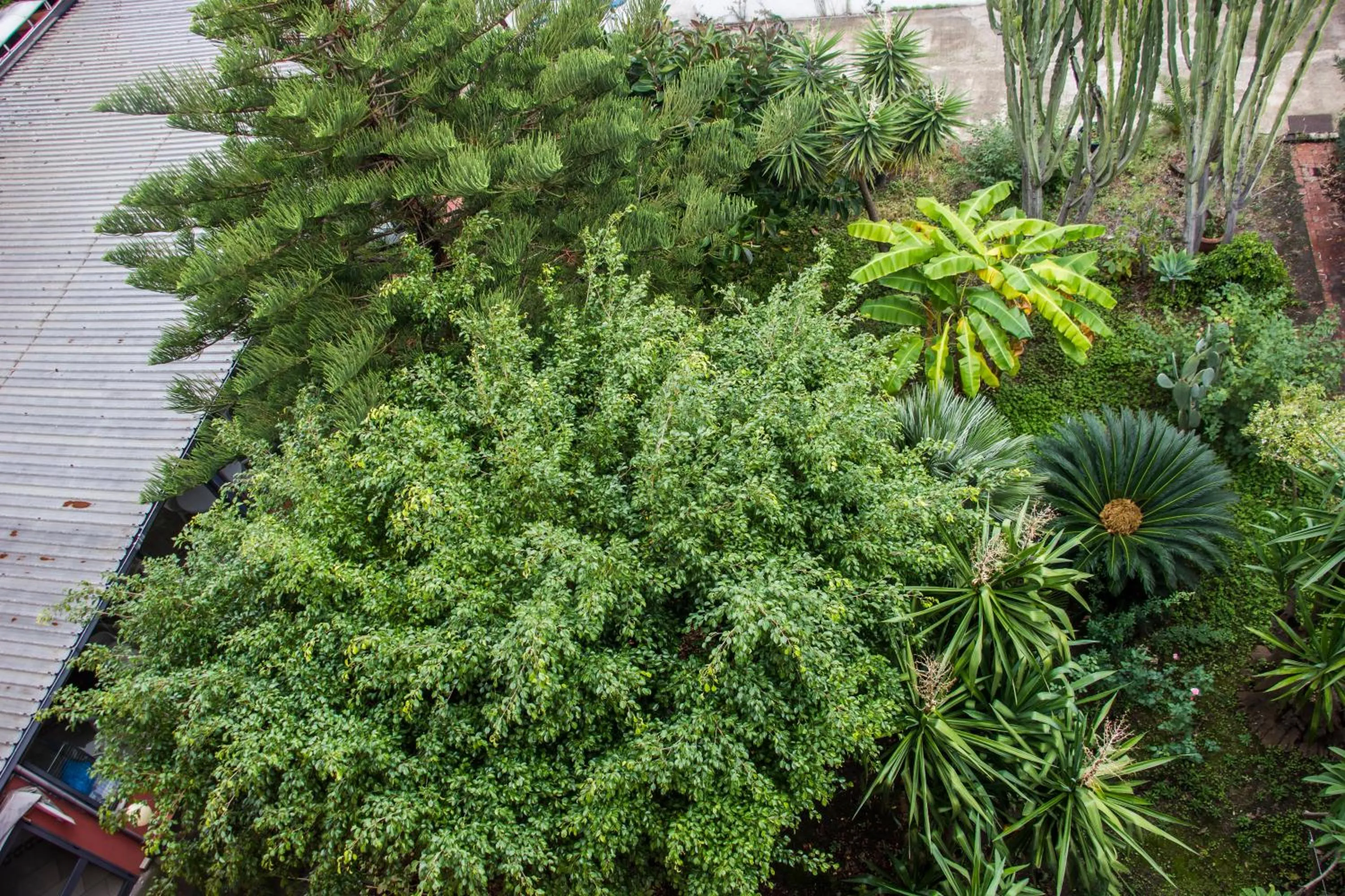 Garden in La Piramide