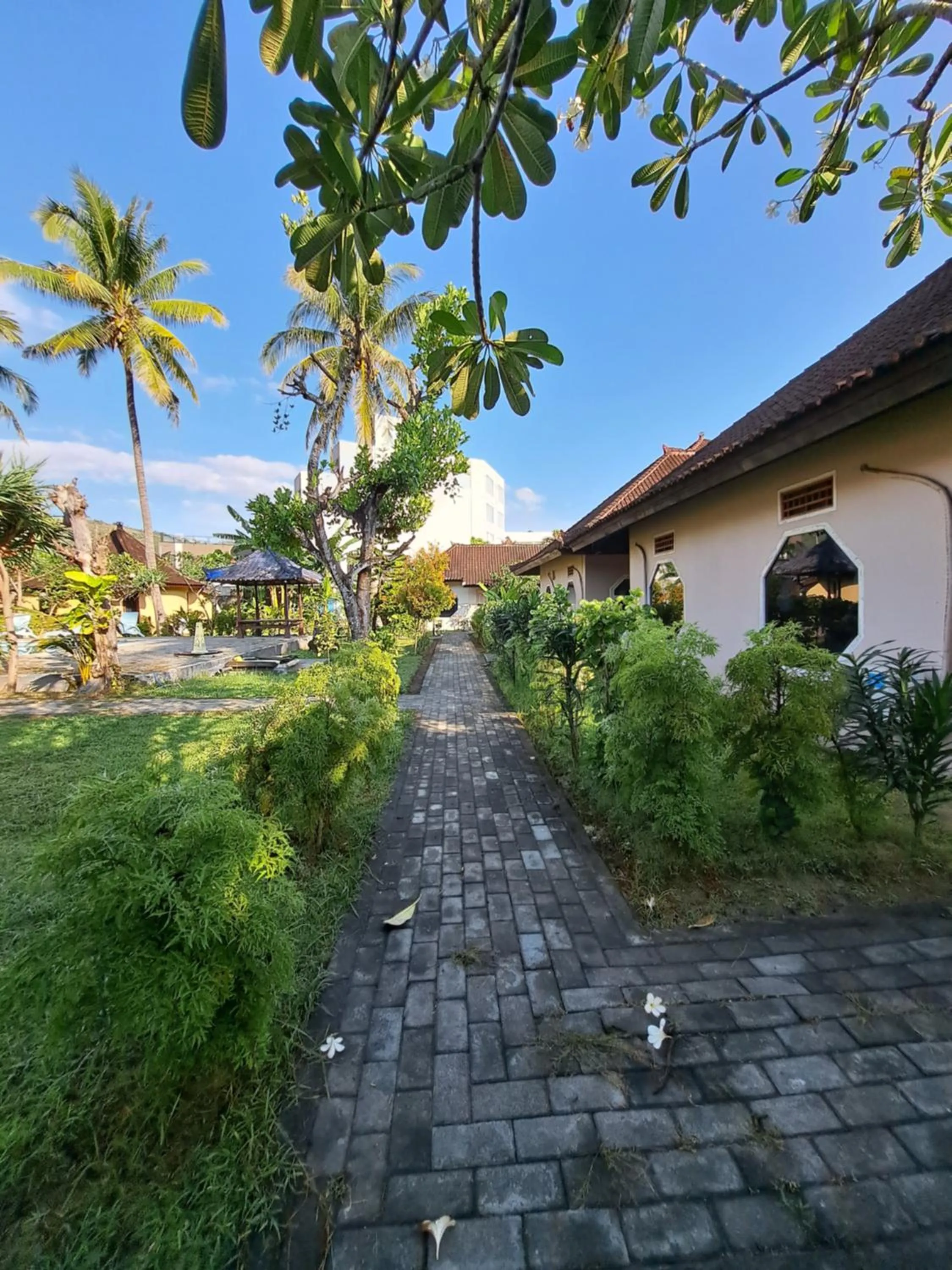 Garden in Surfers Beachfront Lombok
