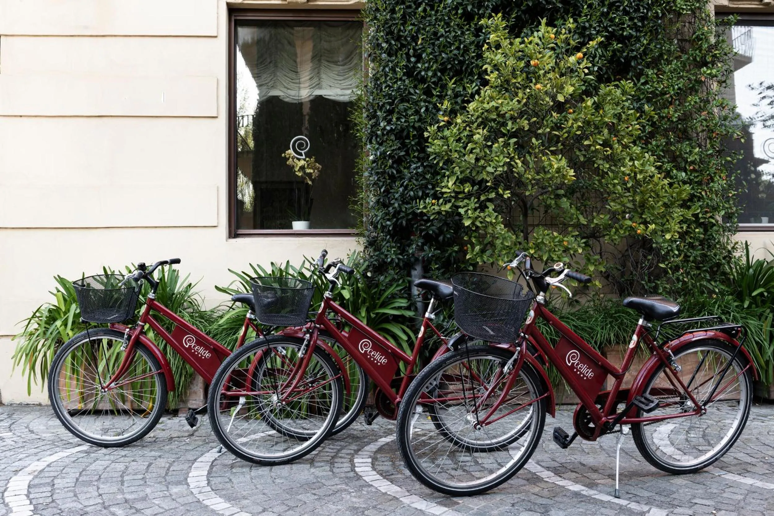 Cycling in Albergo Celide