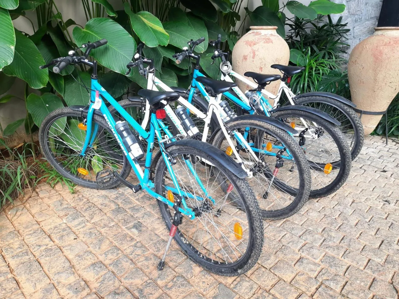 Activities in Flora Vythiri Resort Wayanad