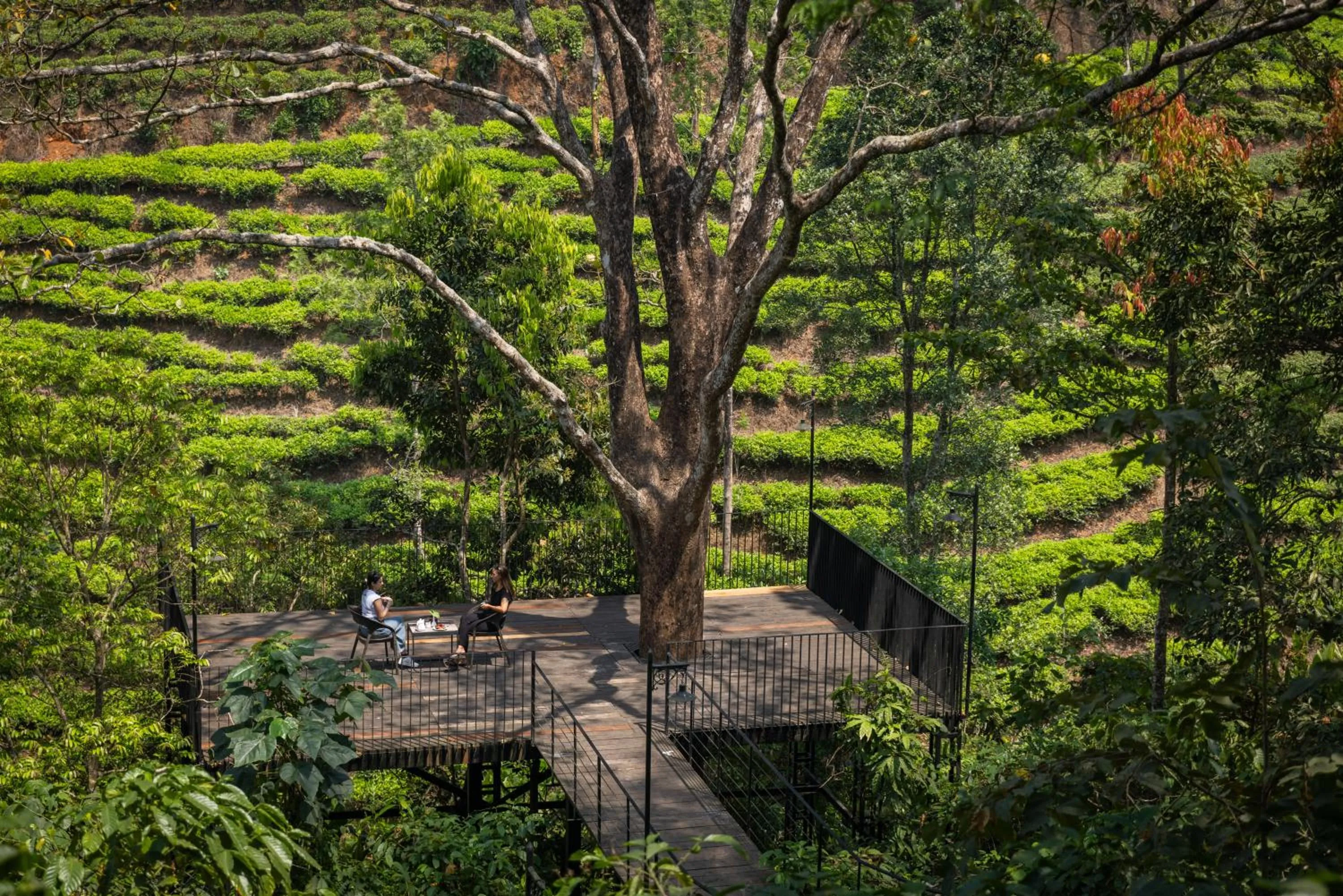 Activities in Flora Vythiri Resort Wayanad