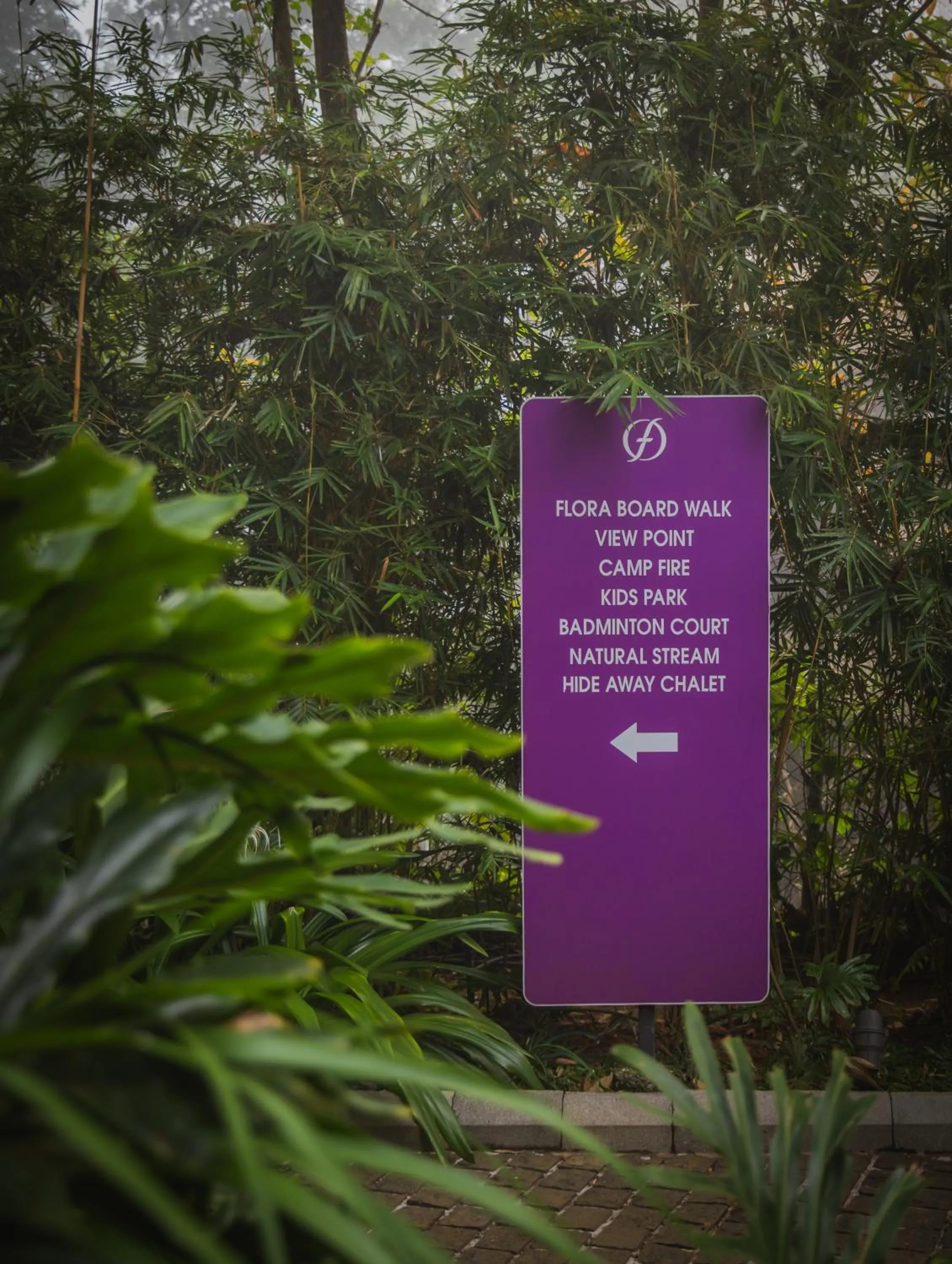 Activities in Flora Vythiri Resort Wayanad