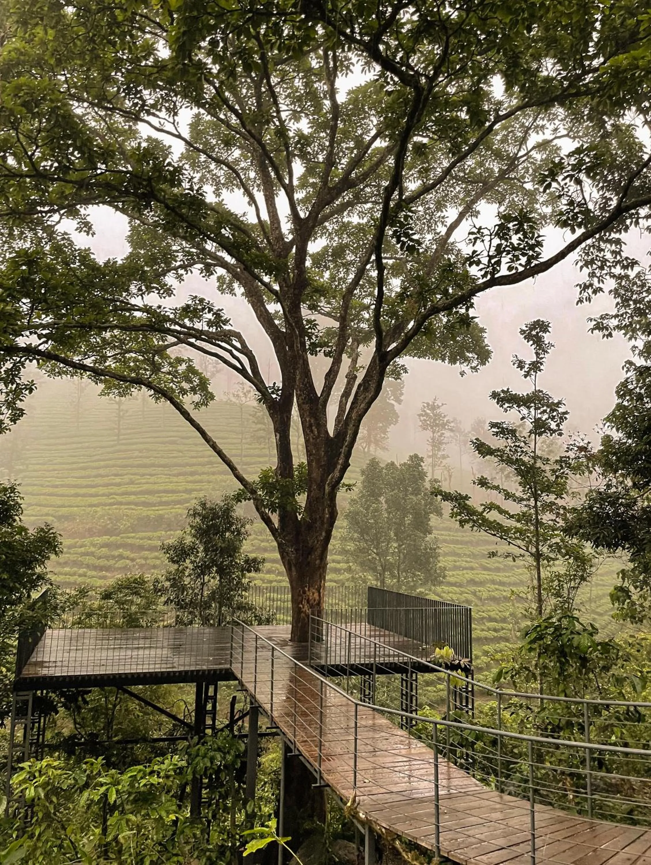 Activities in Flora Vythiri Resort Wayanad