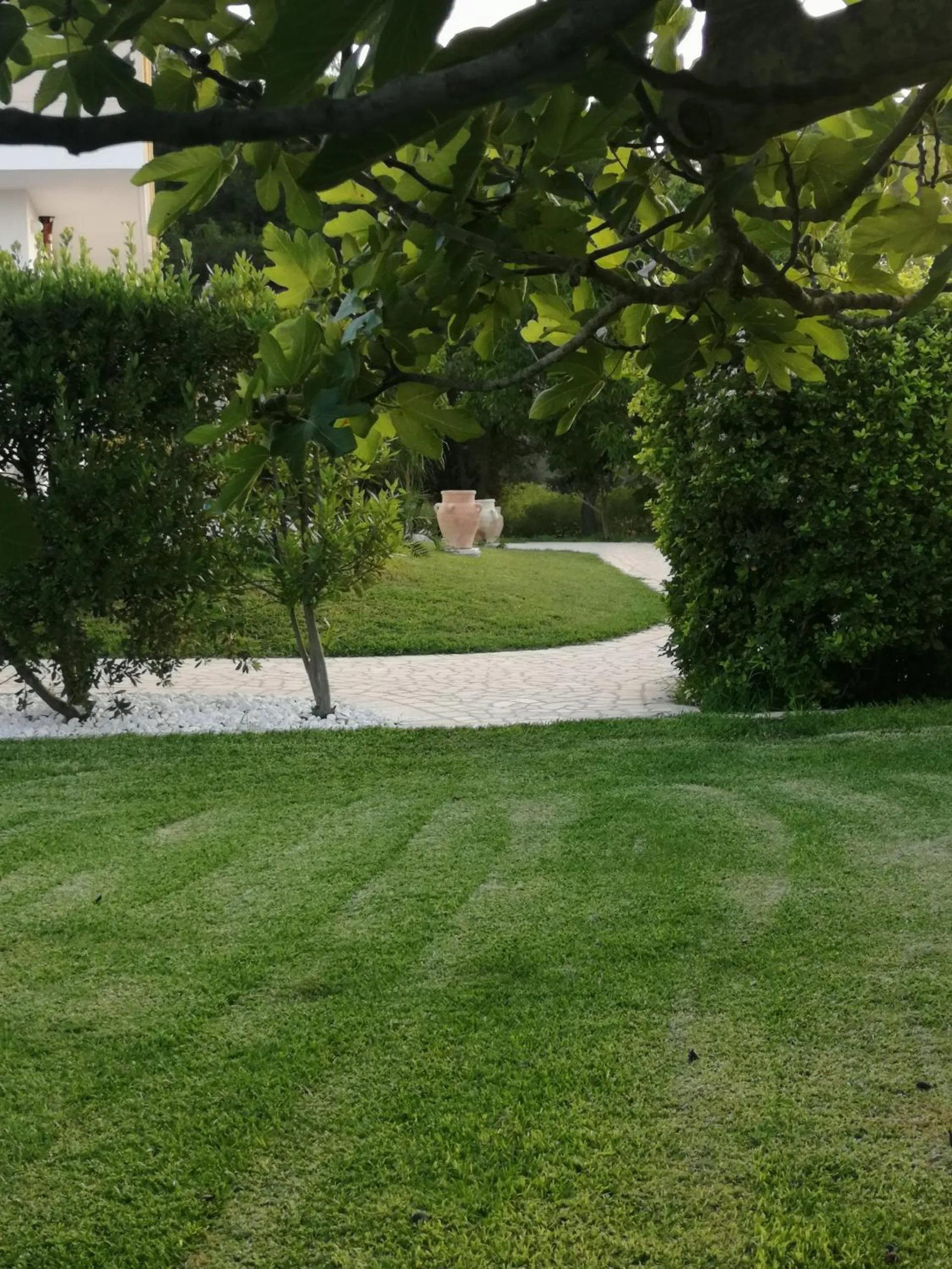 Garden view in Aia Grande