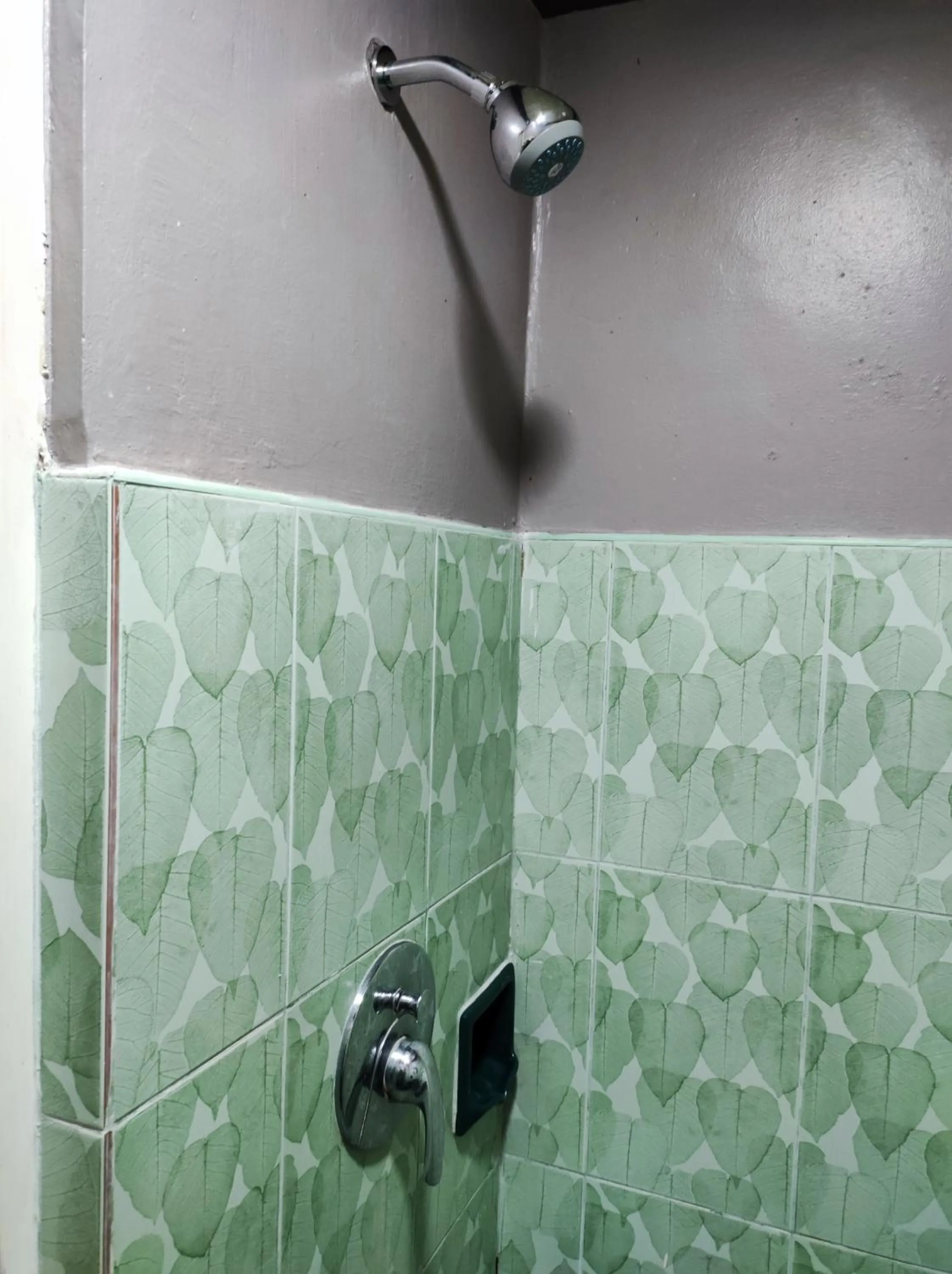 Shower in Parkview Hotel