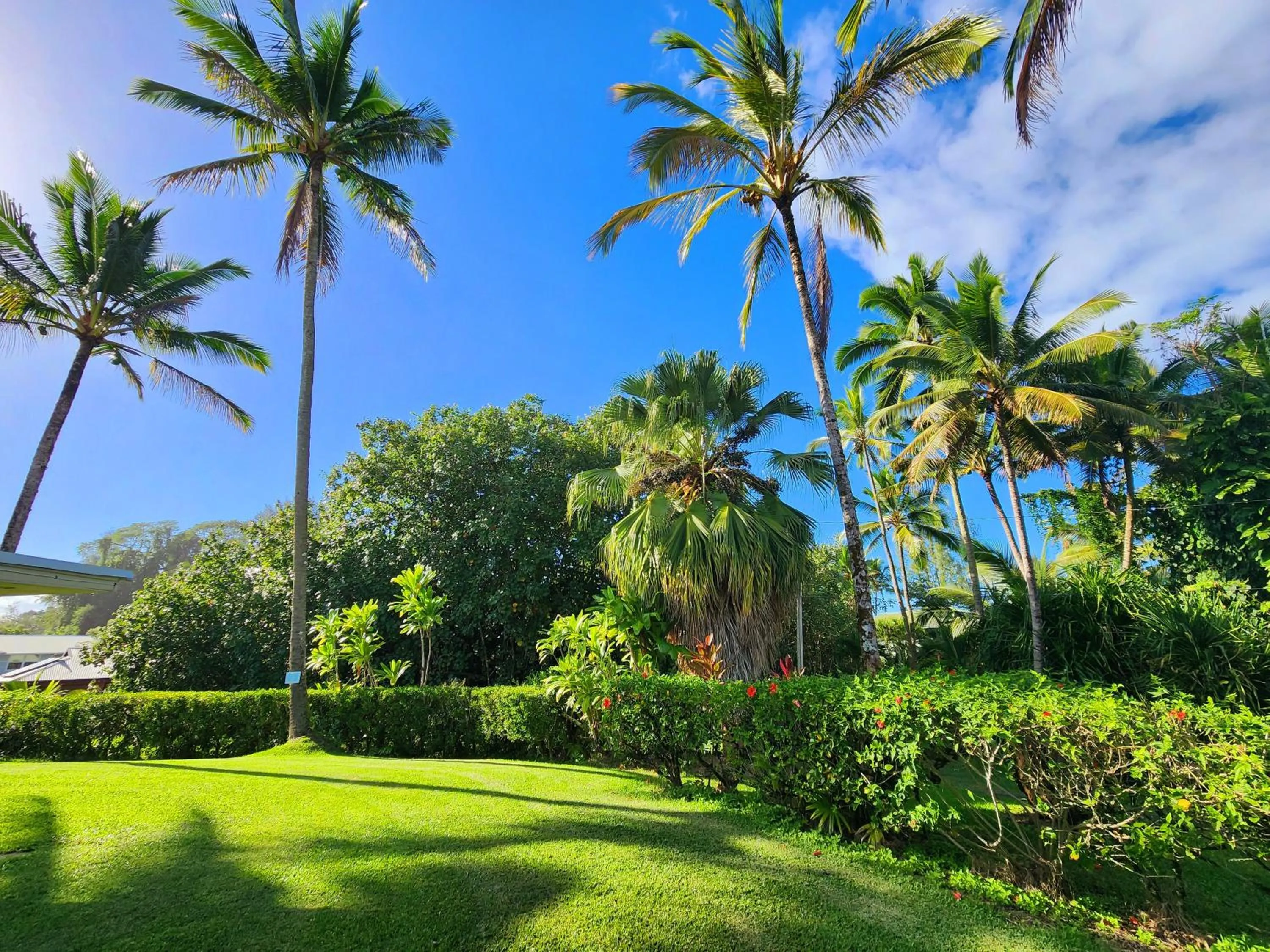 Natural landscape in Arnott's Lodge & Hiking Adventures