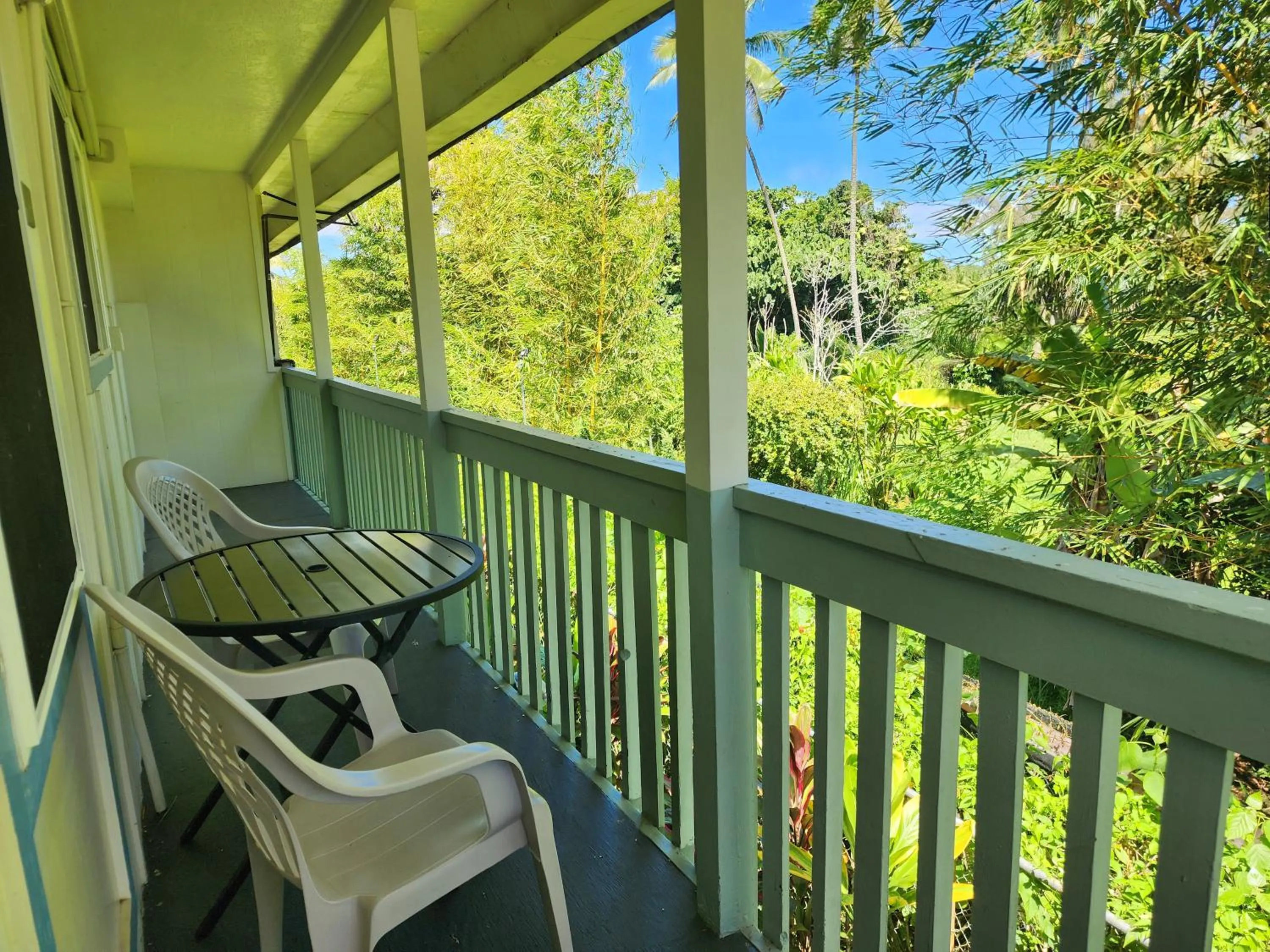 View (from property/room) in Arnott's Lodge & Hiking Adventures