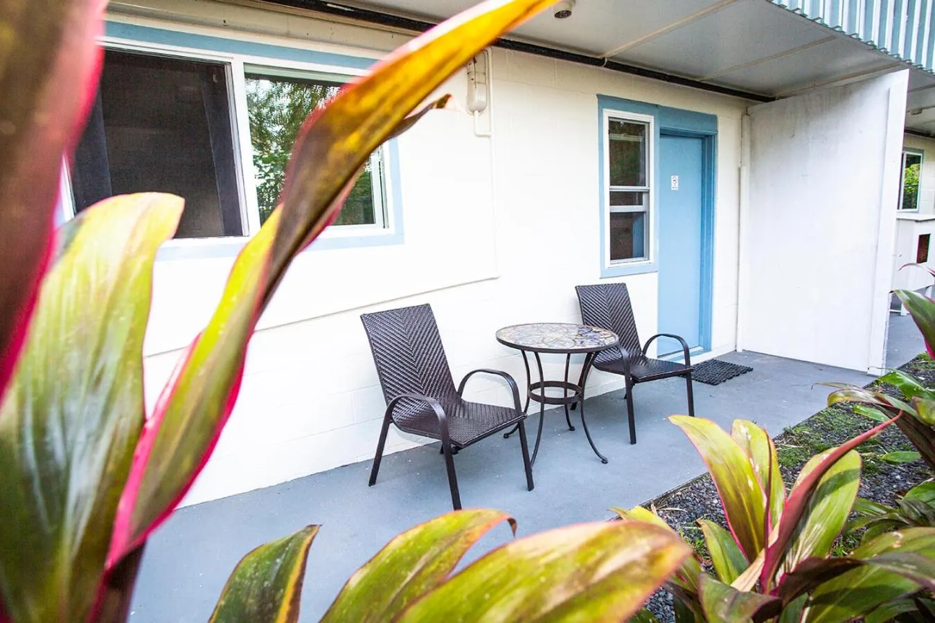 Balcony/Terrace in Arnott's Lodge & Hiking Adventures