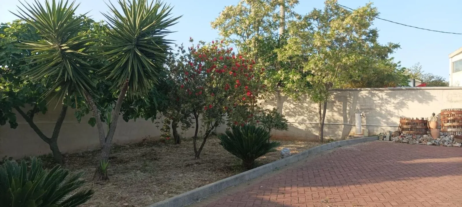 Garden in B&B CASA NISI
