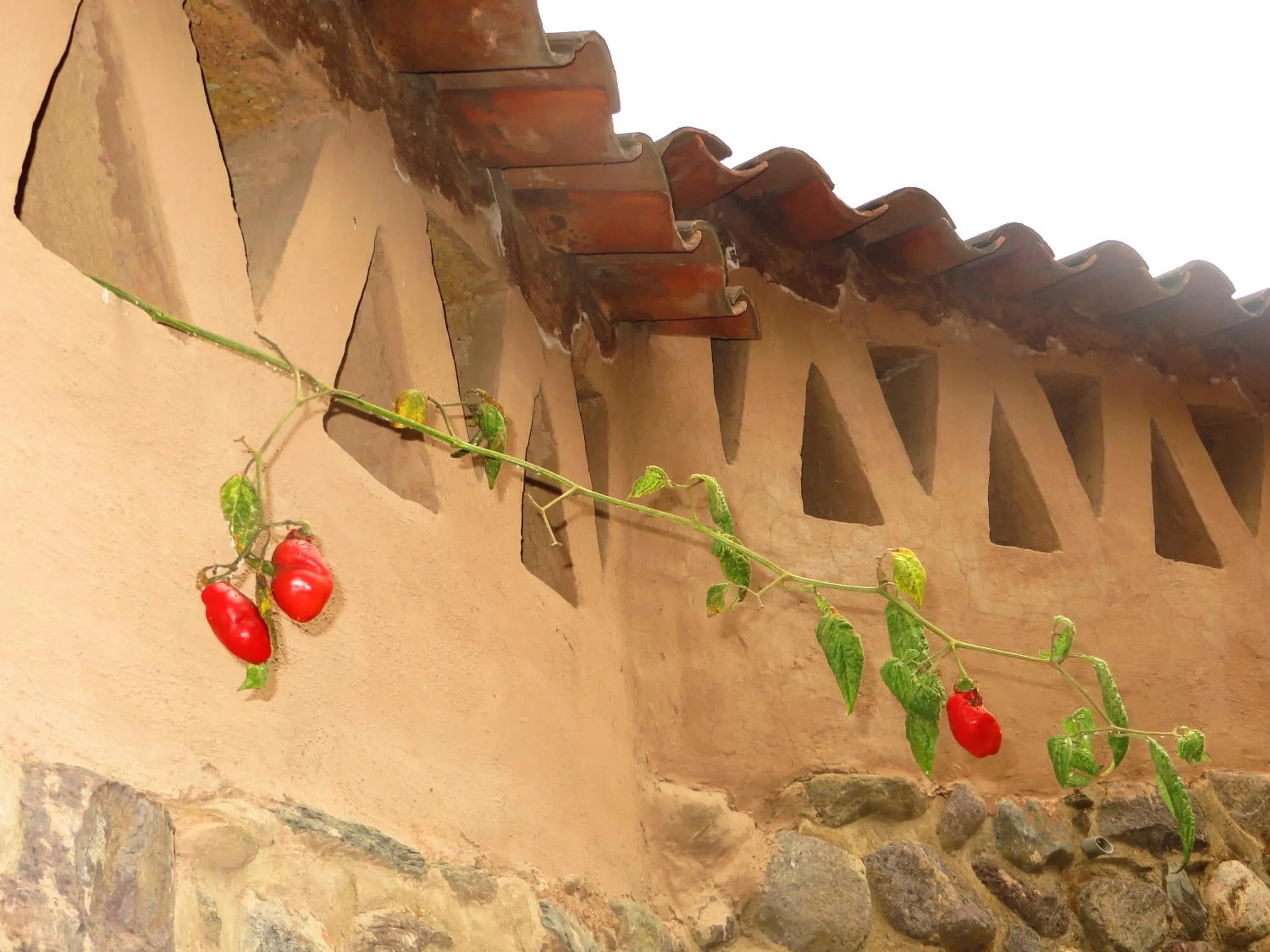 BBQ facilities in Hotel Pakaritampu