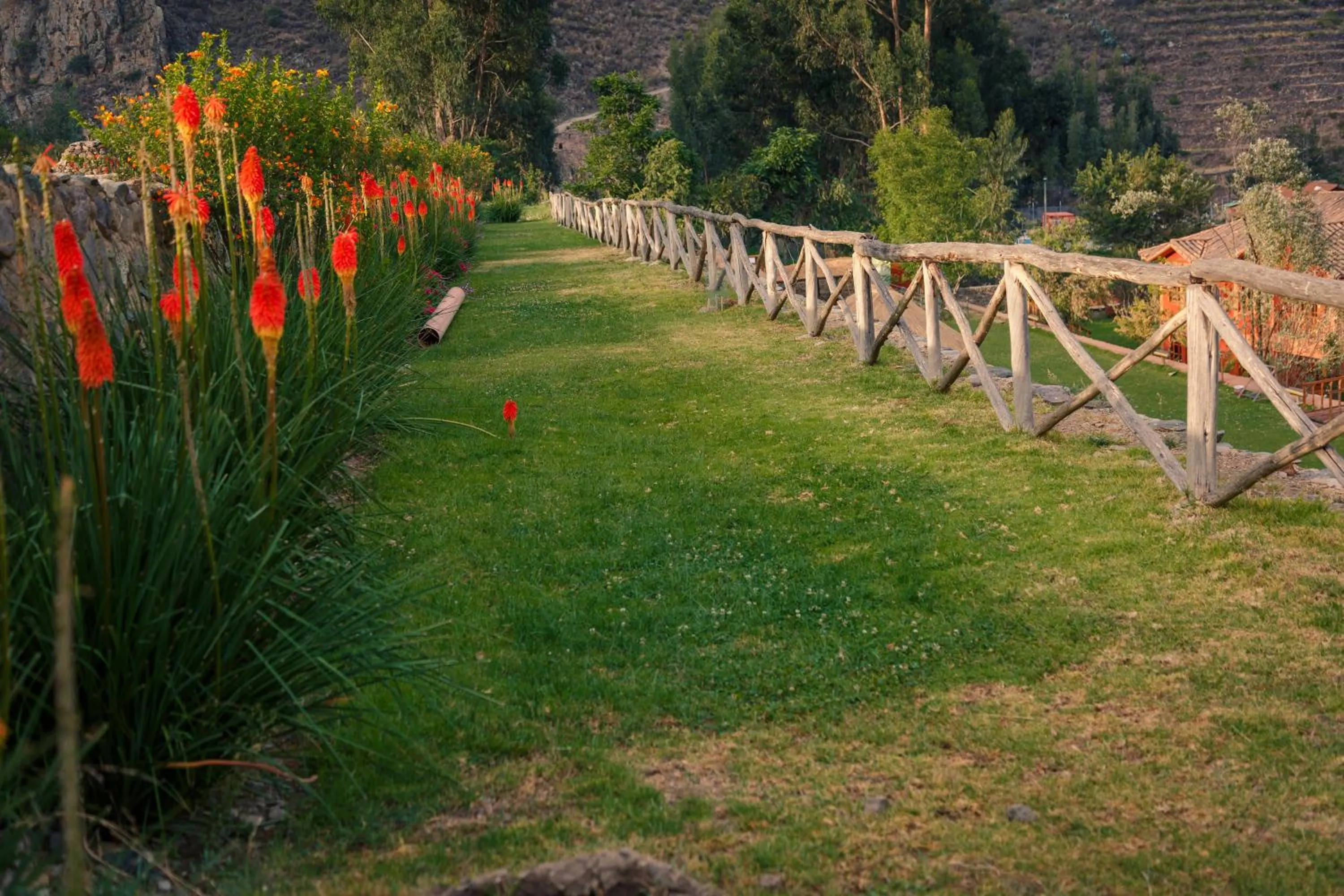 Garden view in Hotel Pakaritampu