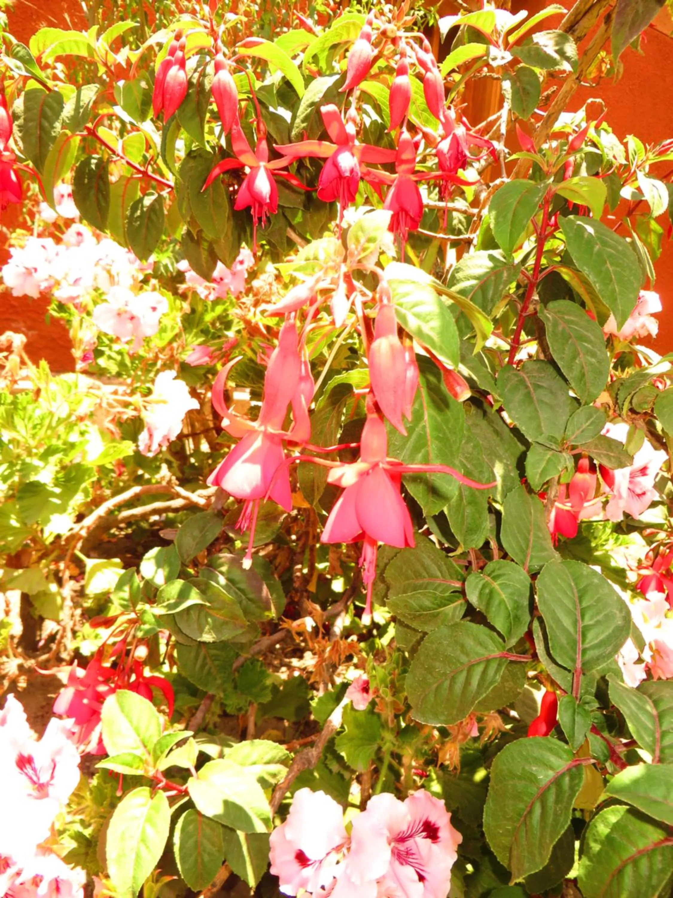 Day in Hotel Pakaritampu