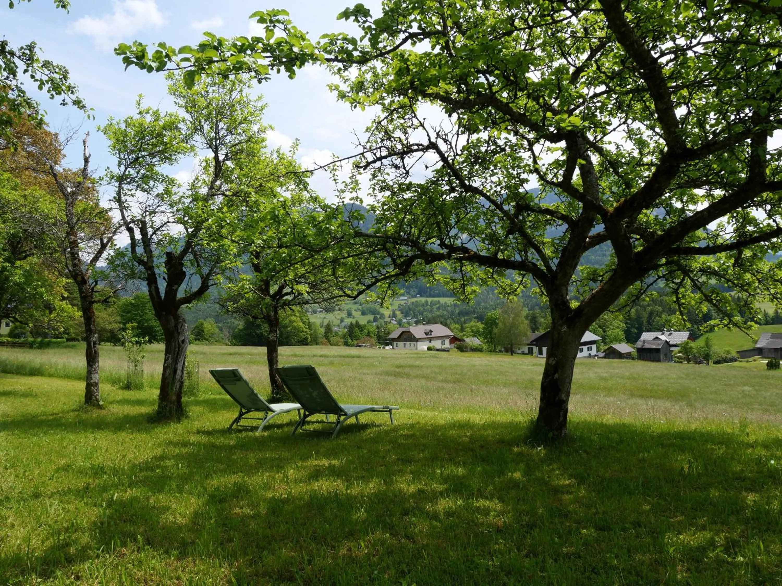 Spring in Ecologie Grundlsee