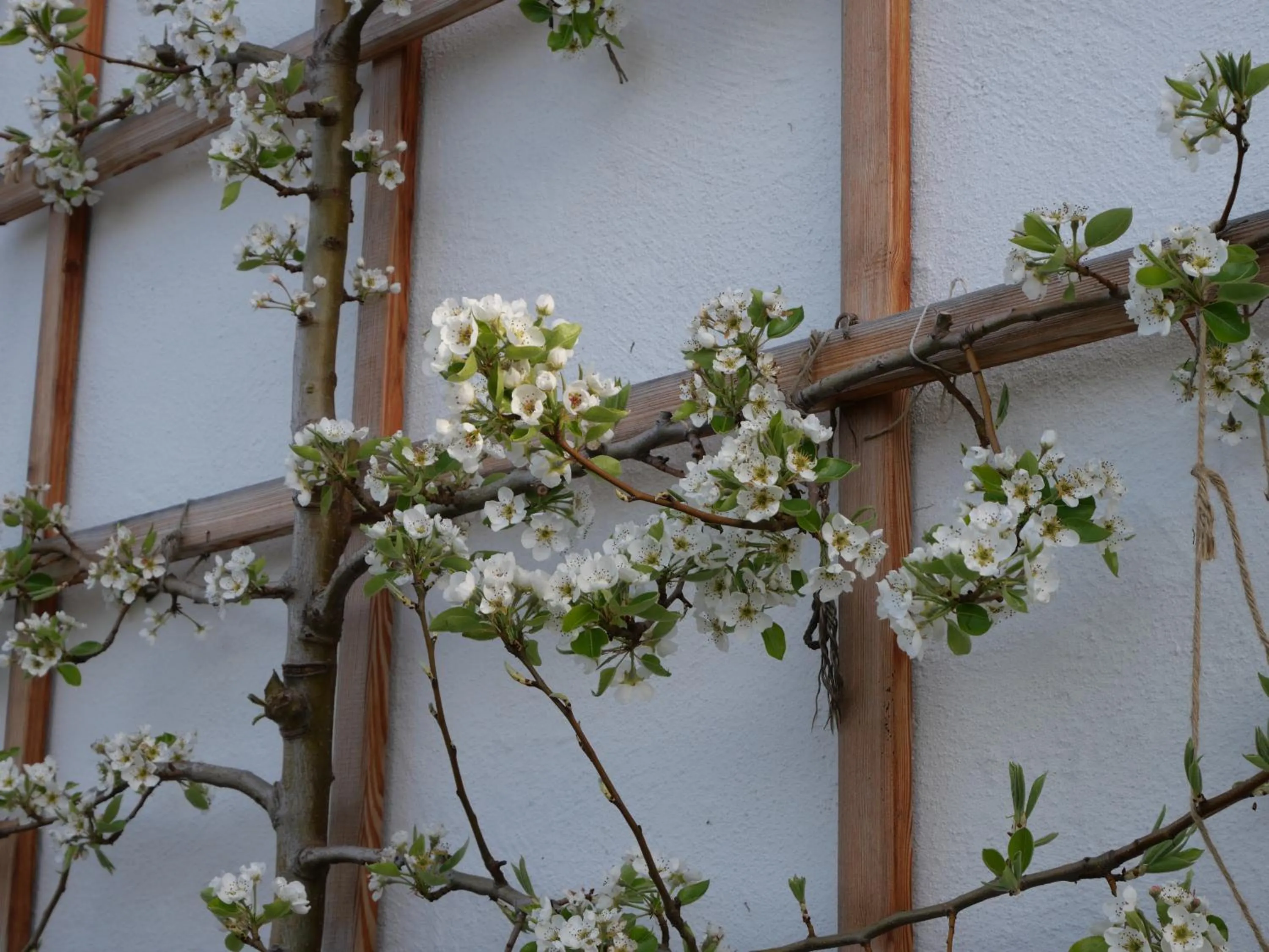 Property building in Ecologie Grundlsee
