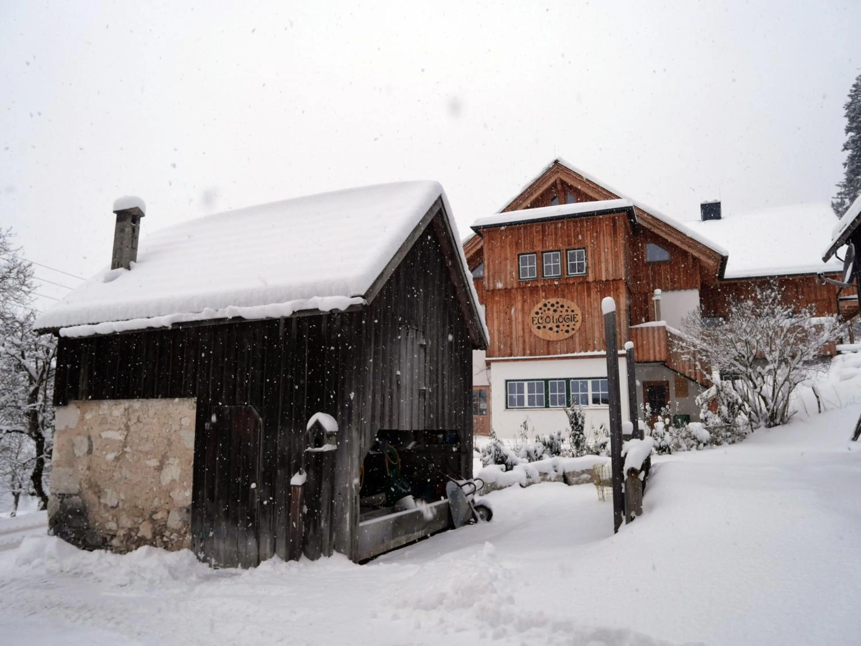 Property building in Ecologie Grundlsee