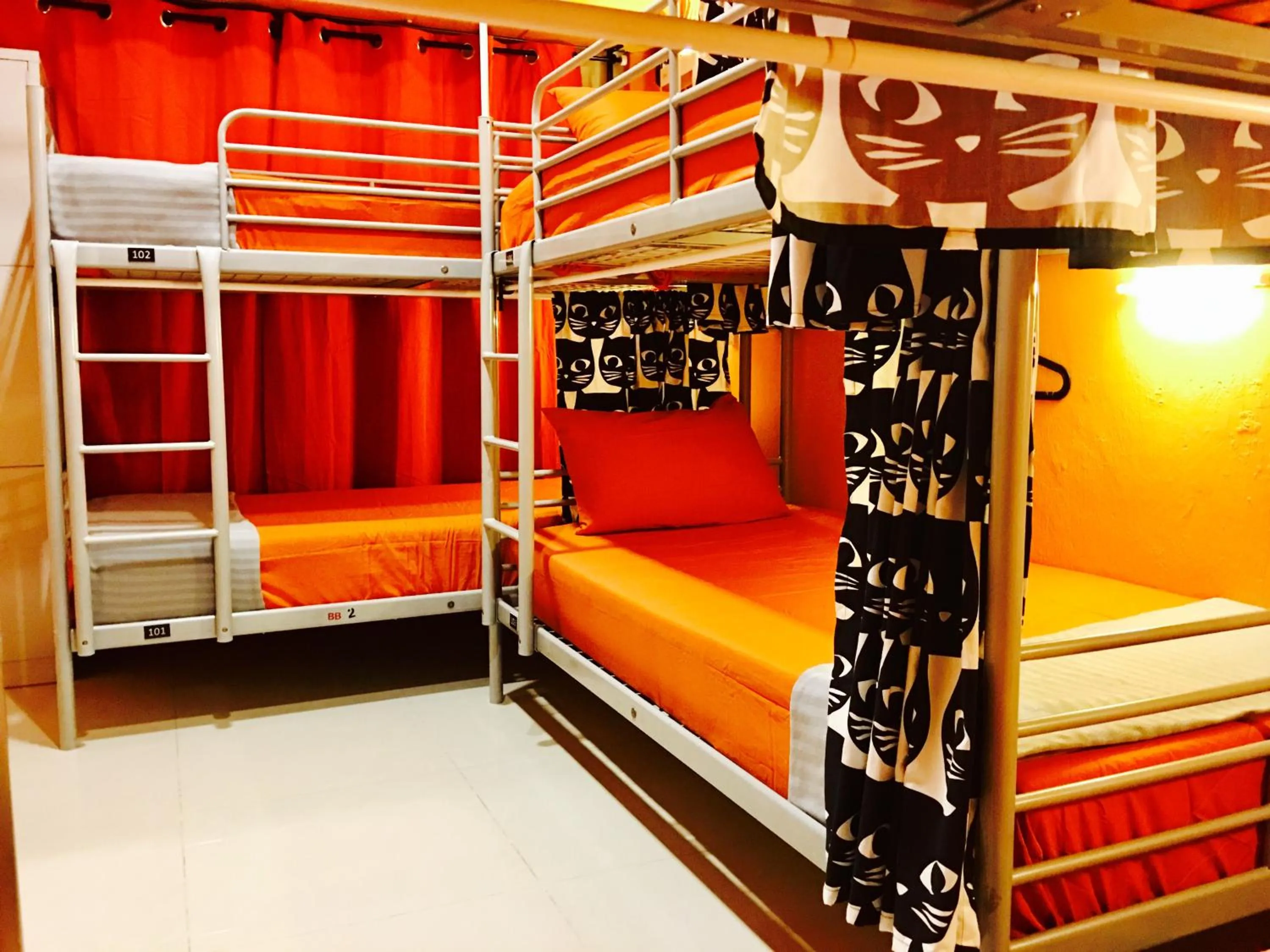 bunk bed, Bed in CSW Hostel
